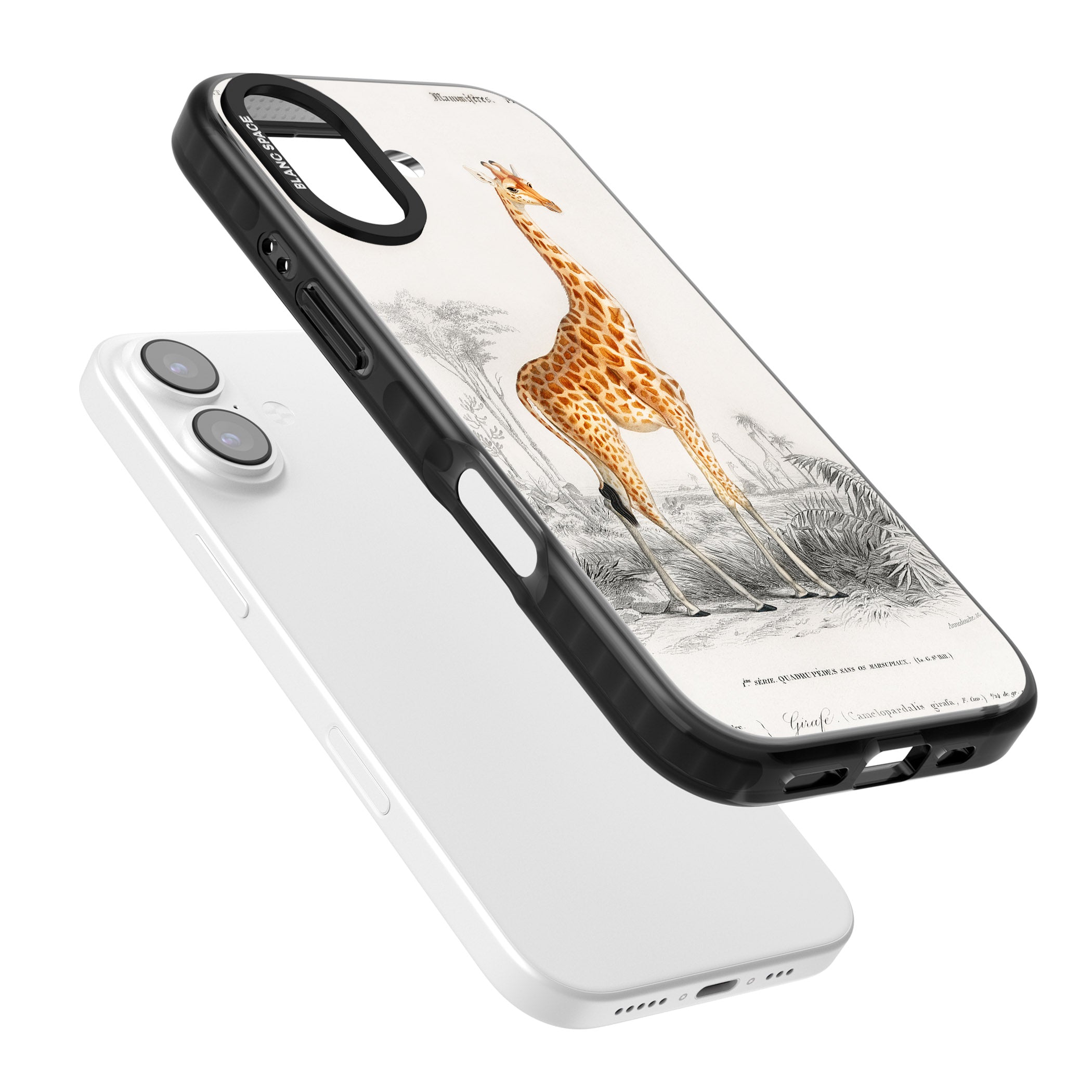Vintage Giraffe Art iPhone 17 Impact Black Phone Case Colours