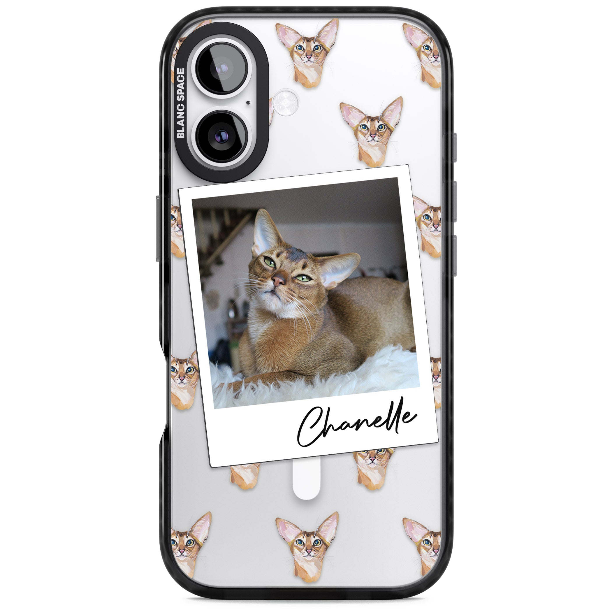 Personalised Abyssinian Cat Photo iPhone 17 Impact Pro Black Phone Case