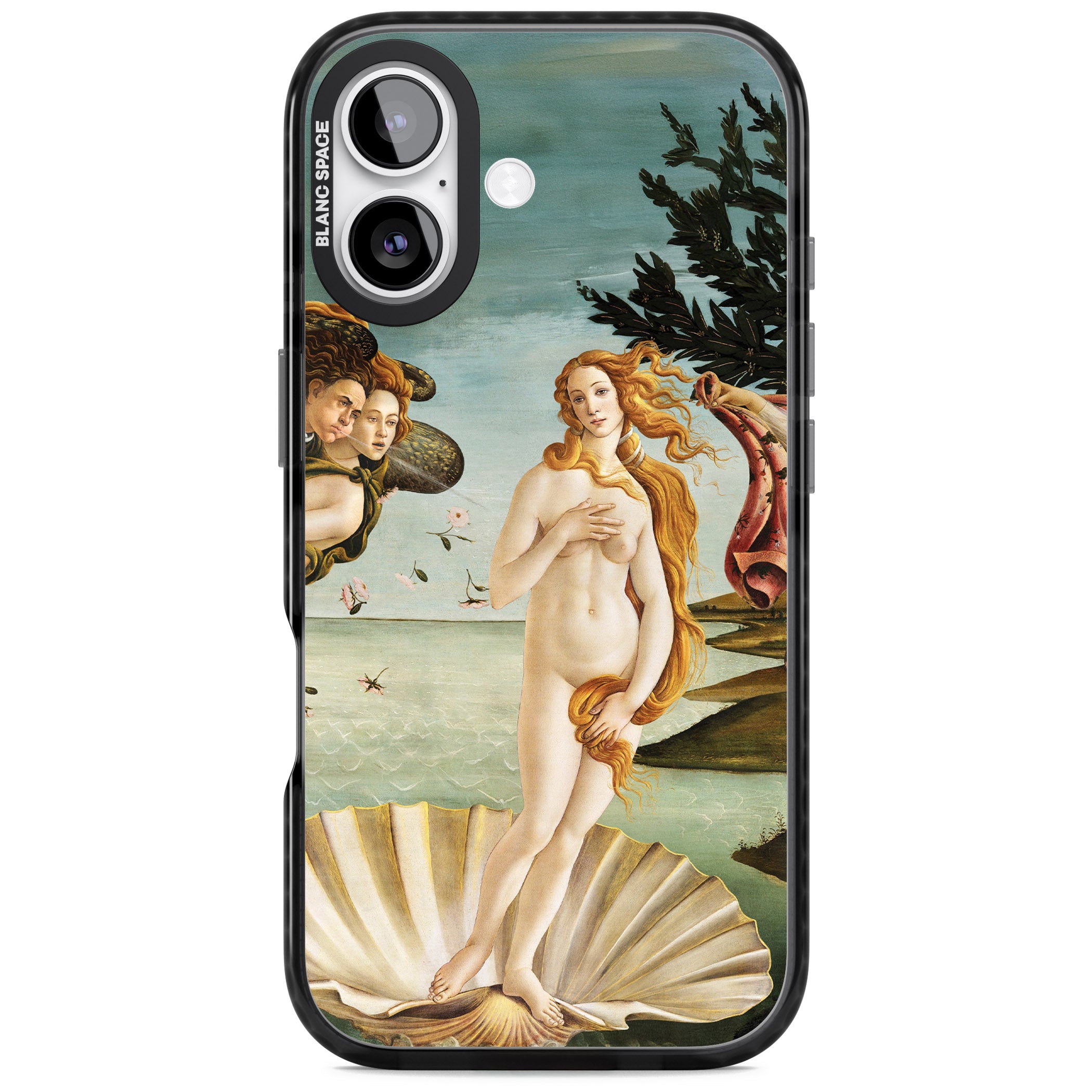 The Birth of Venus - Sandro Botticelli iPhone 17 Impact Pro Black Phone Case