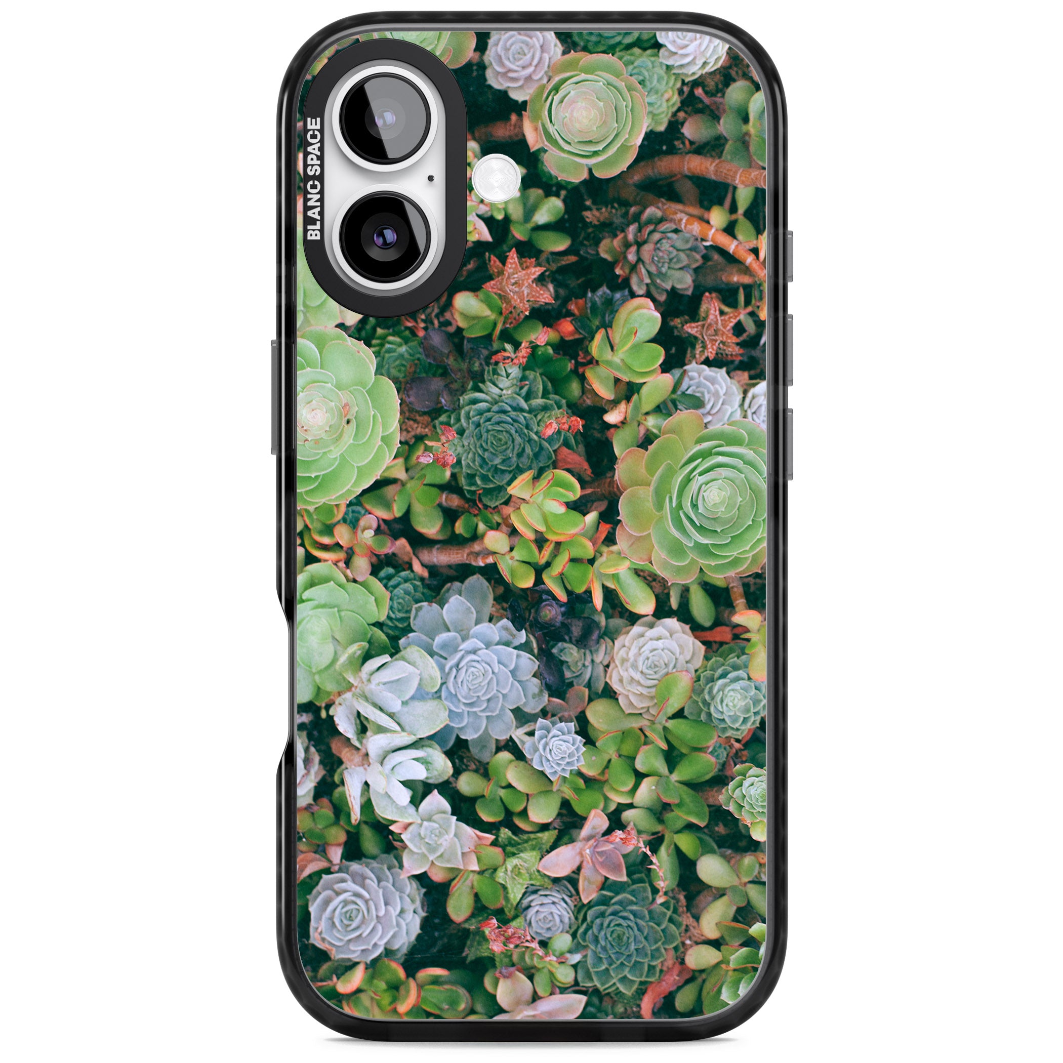 Succulent Garden iPhone 17 Impact Black Phone Case