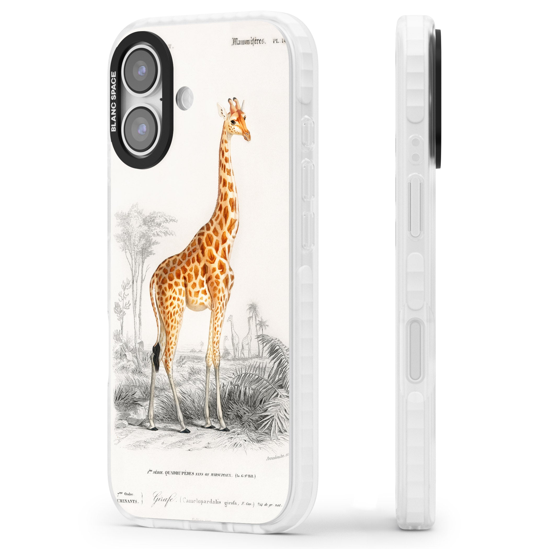Vintage Giraffe Art iPhone 17 Impact Clear Phone Case Side Profile