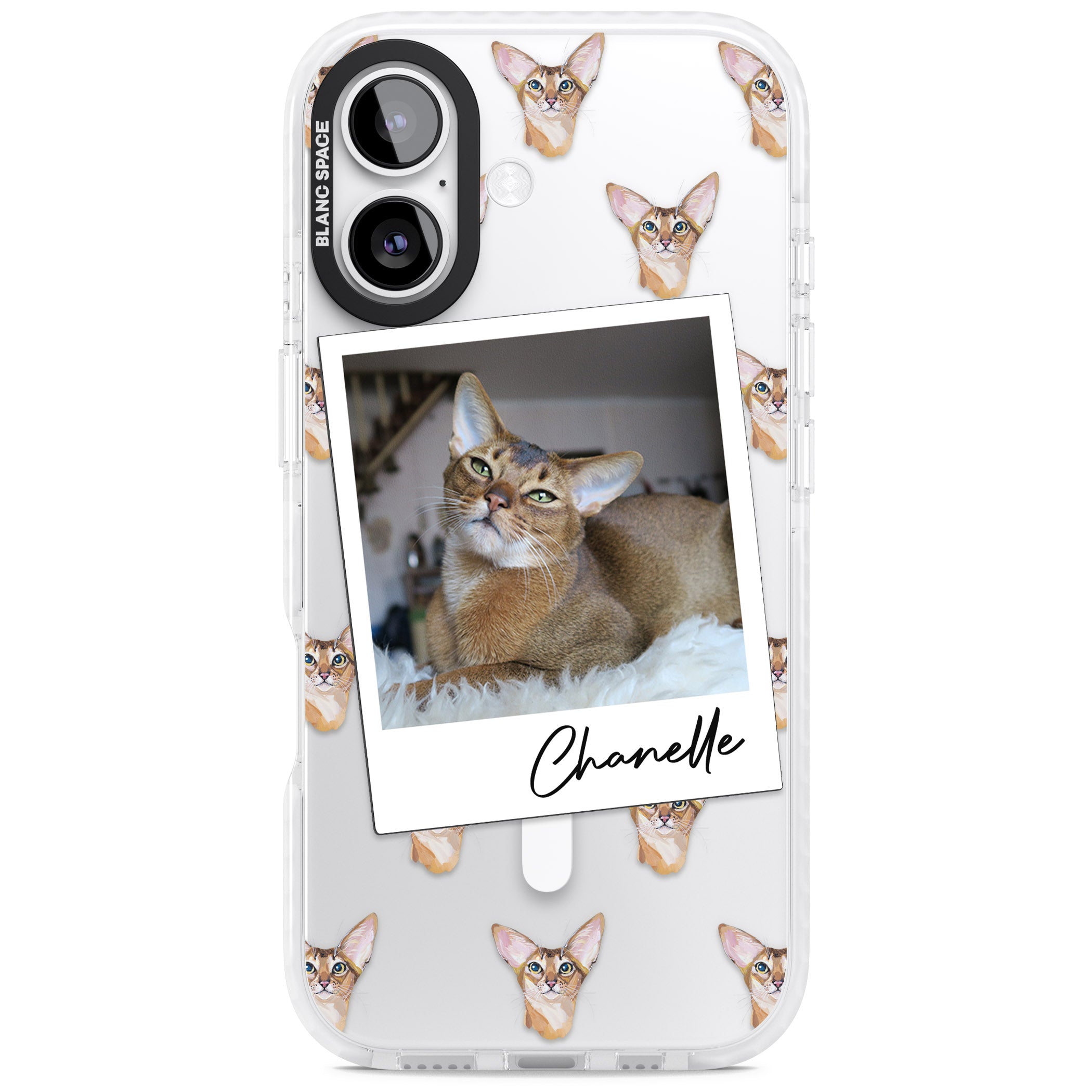 Personalised Abyssinian Cat Photo iPhone 17 Impact Pro Clear Phone Case
