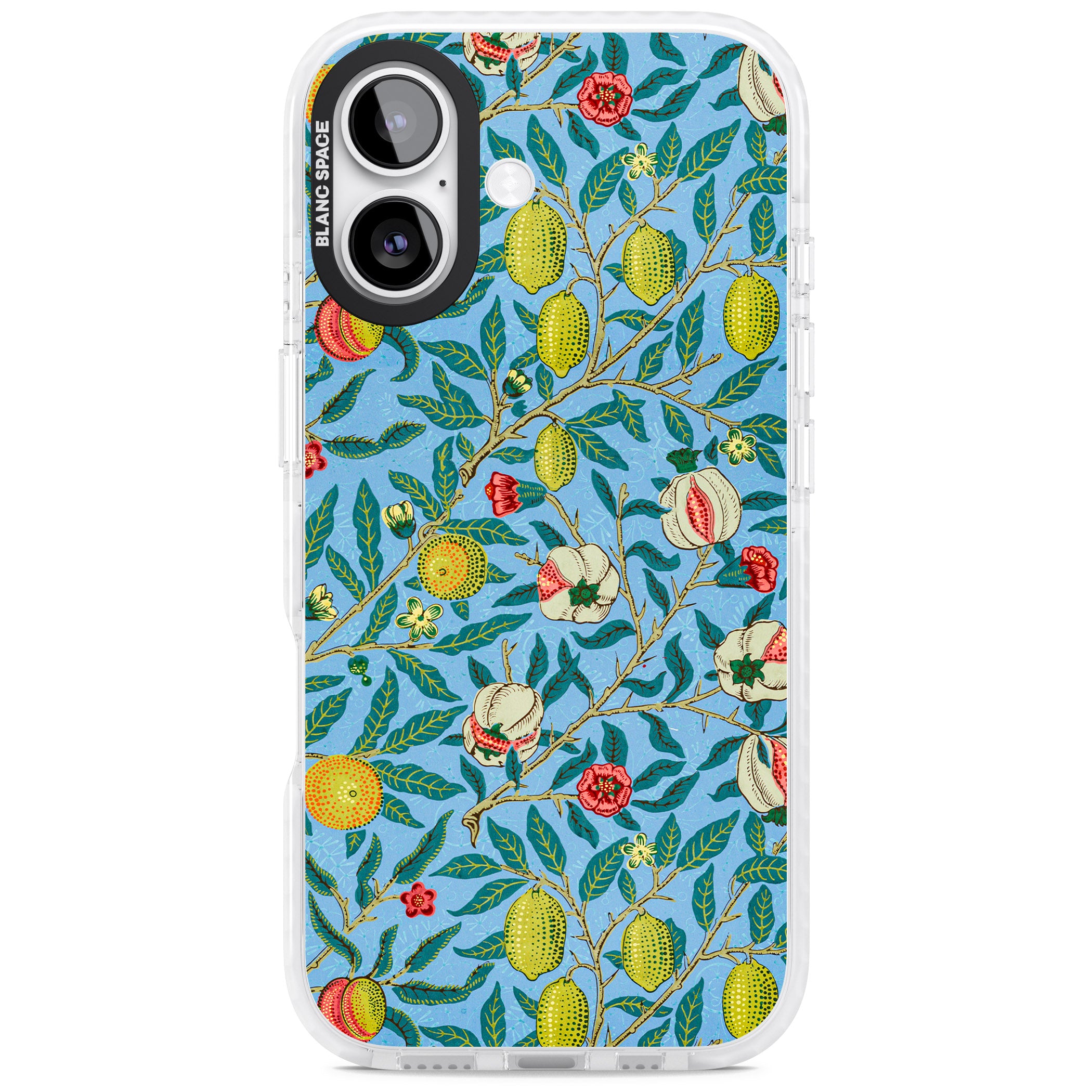 Vintage Fruits iPhone 17 Impact Pro Clear Phone Case