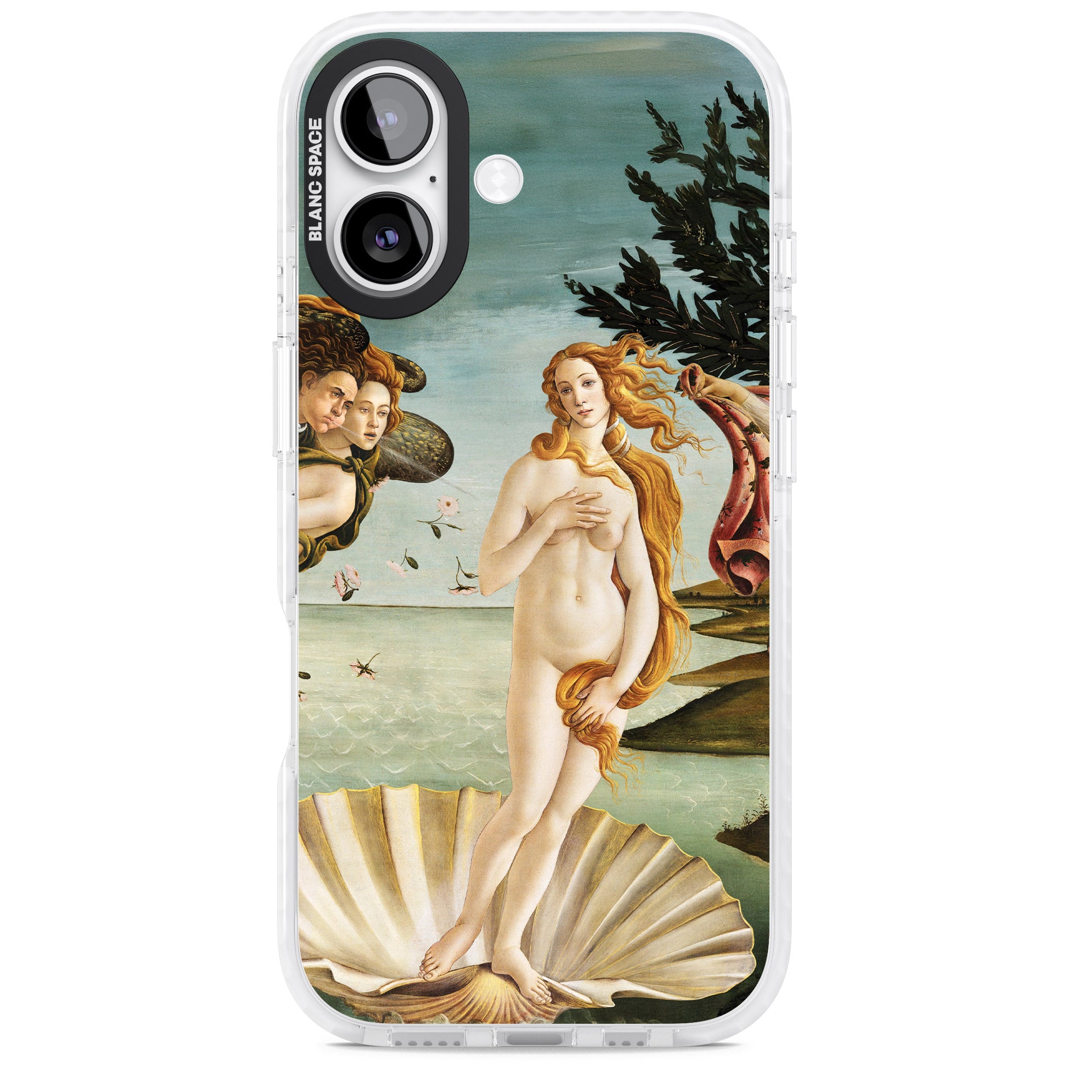 The Birth of Venus - Sandro Botticelli iPhone 17 Impact Pro Clear Phone Case
