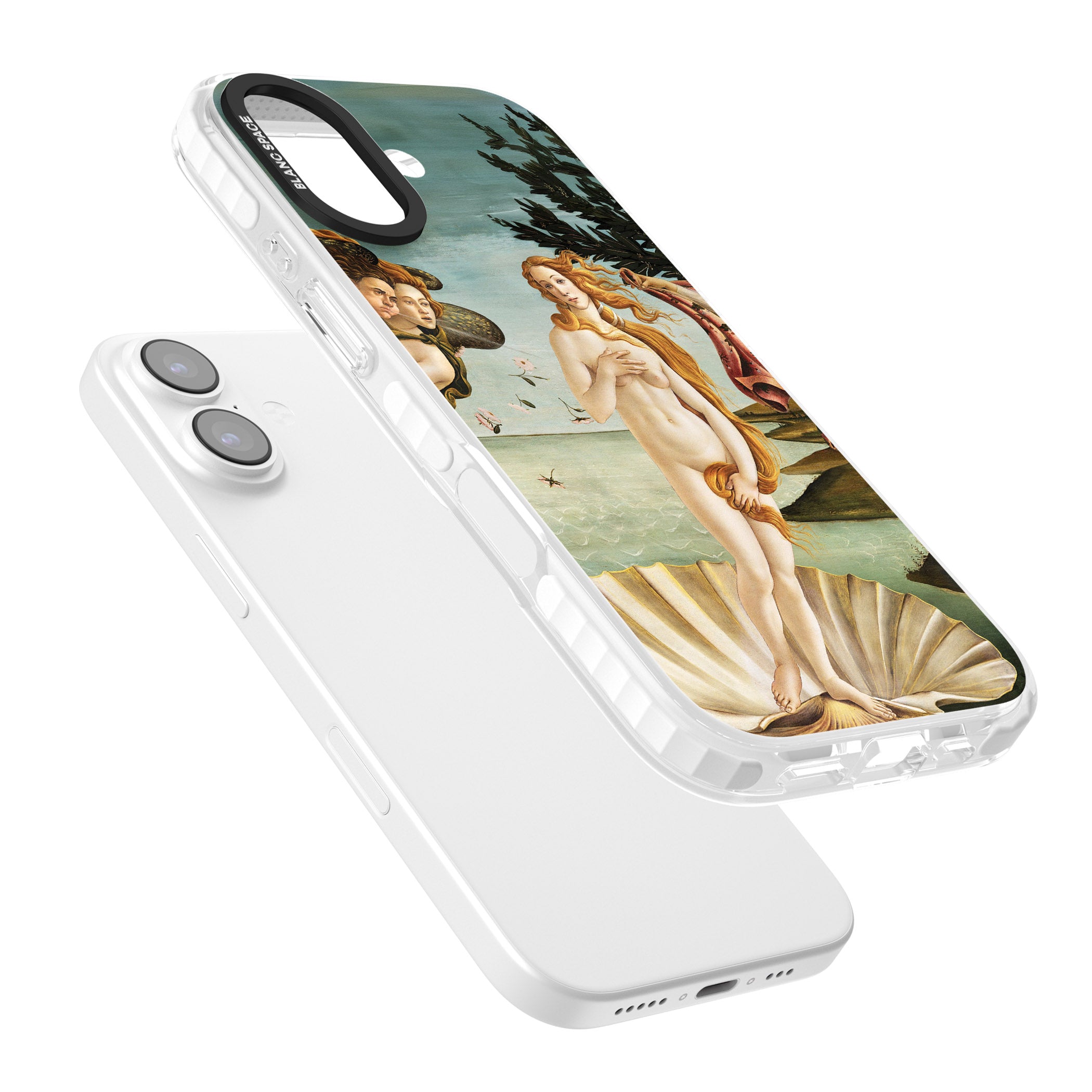 The Birth of Venus - Sandro Botticelli iPhone 17 Impact Pro Clear Phone Case Colours