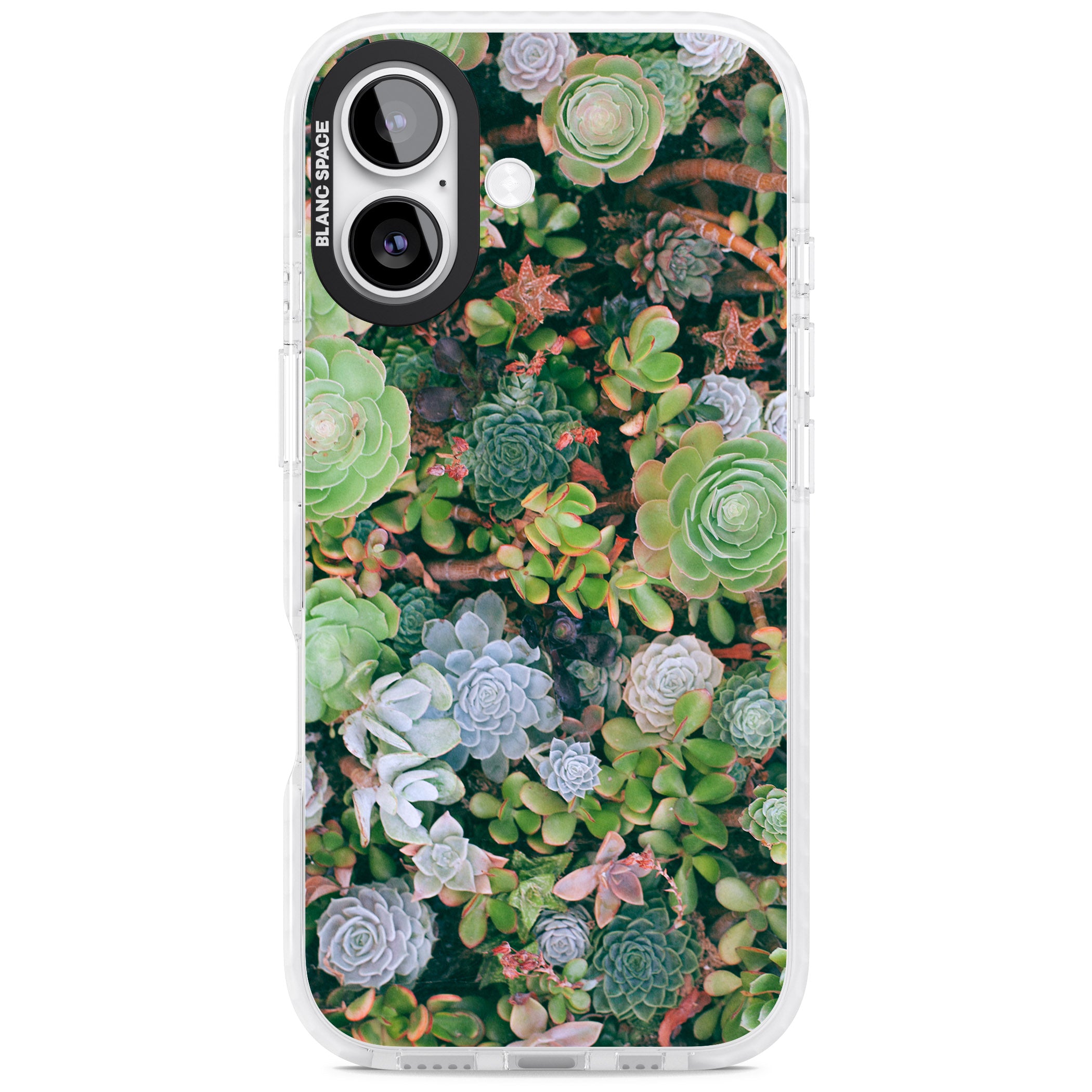 Succulent Garden iPhone 17 Impact Pro Clear Phone Case