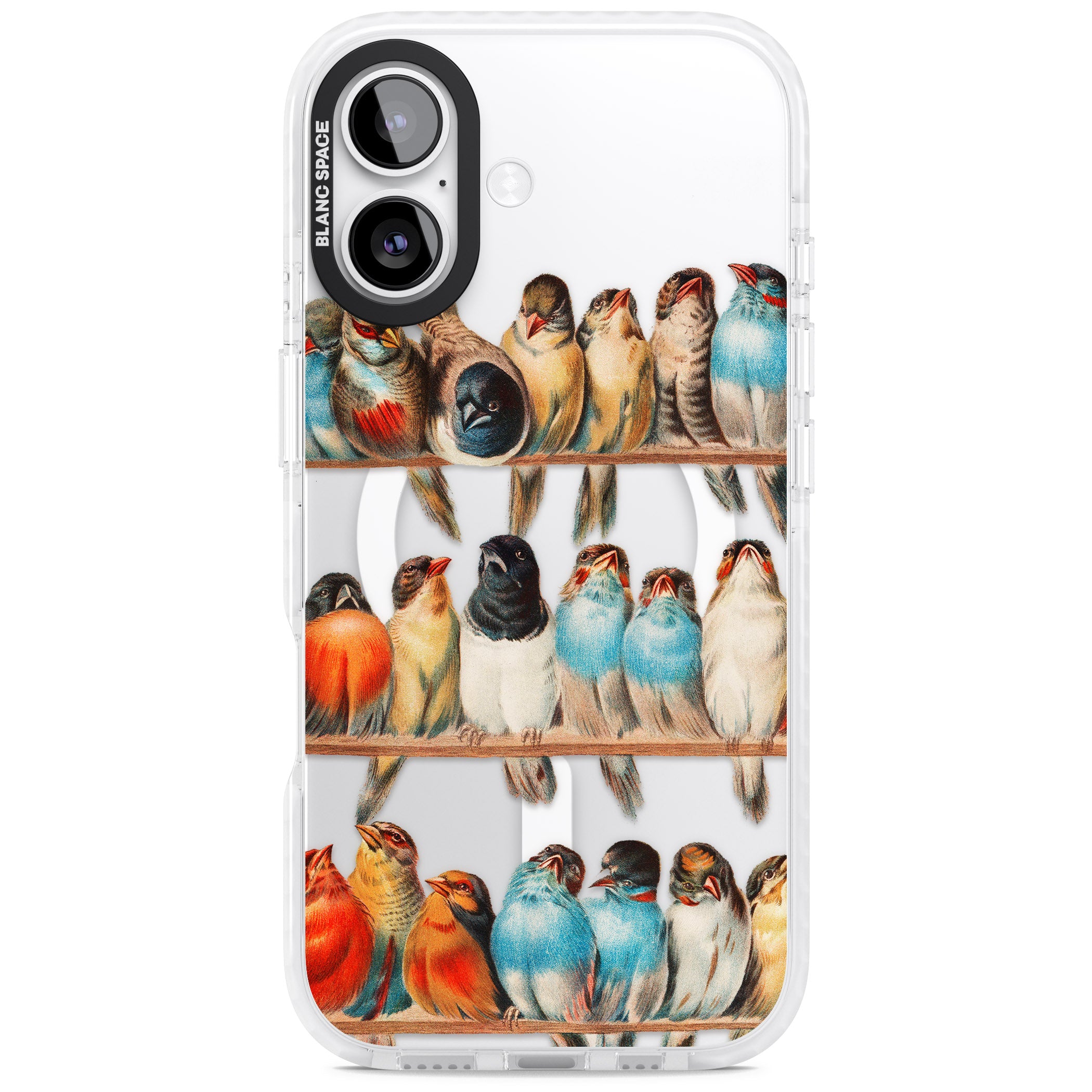 A Perch Of Birds iPhone 17 Impact Pro Clear Phone Case