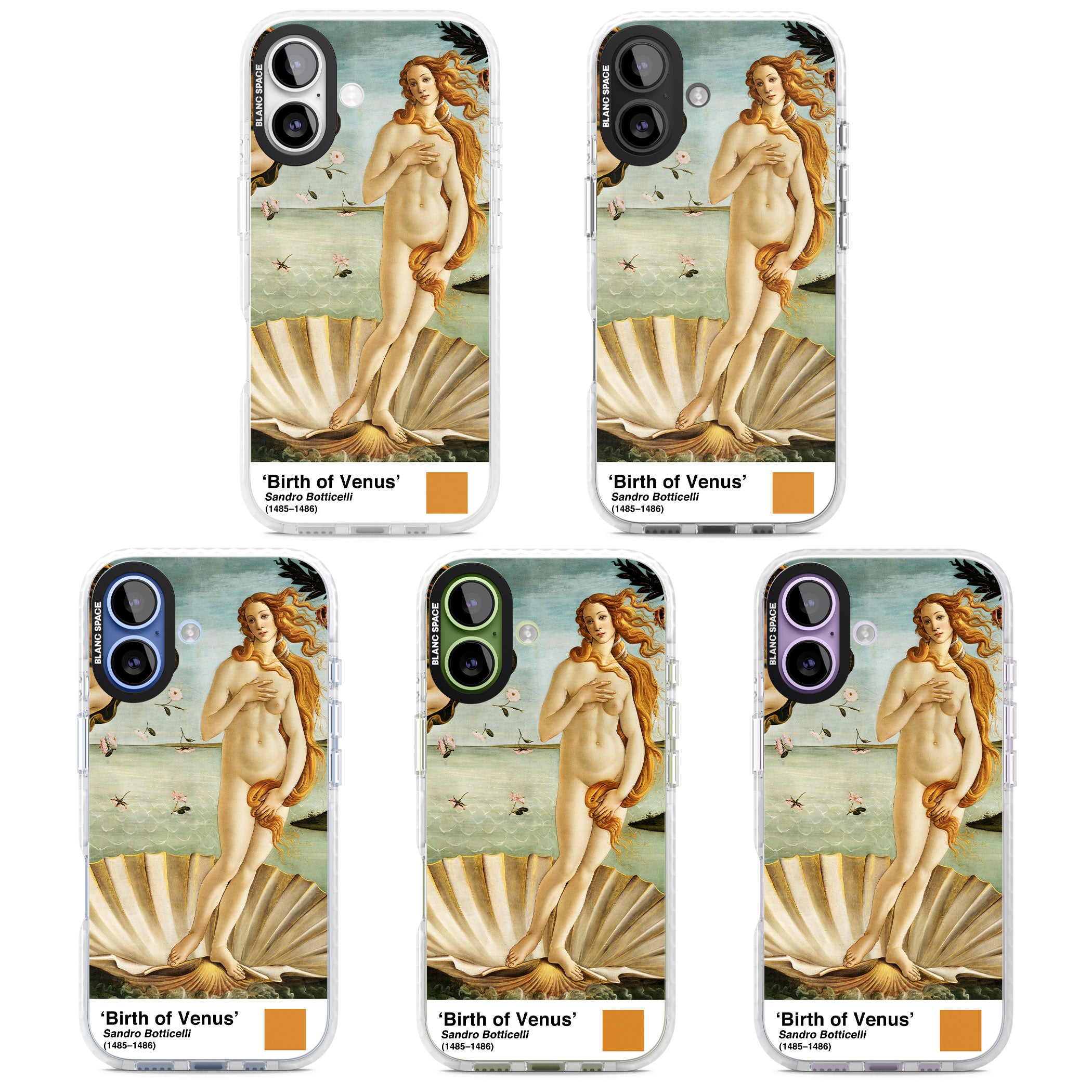 The Birth Of Venus iPhone 17 Impact Pro Clear Phone Case APT Impact Protection