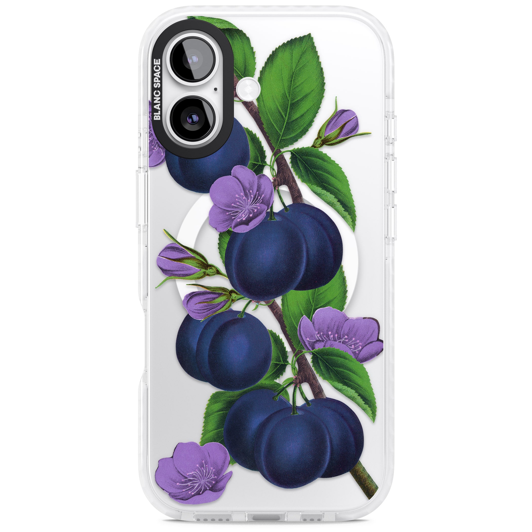 Vintage Painted Plums iPhone 17 Impact Pro Clear Phone Case