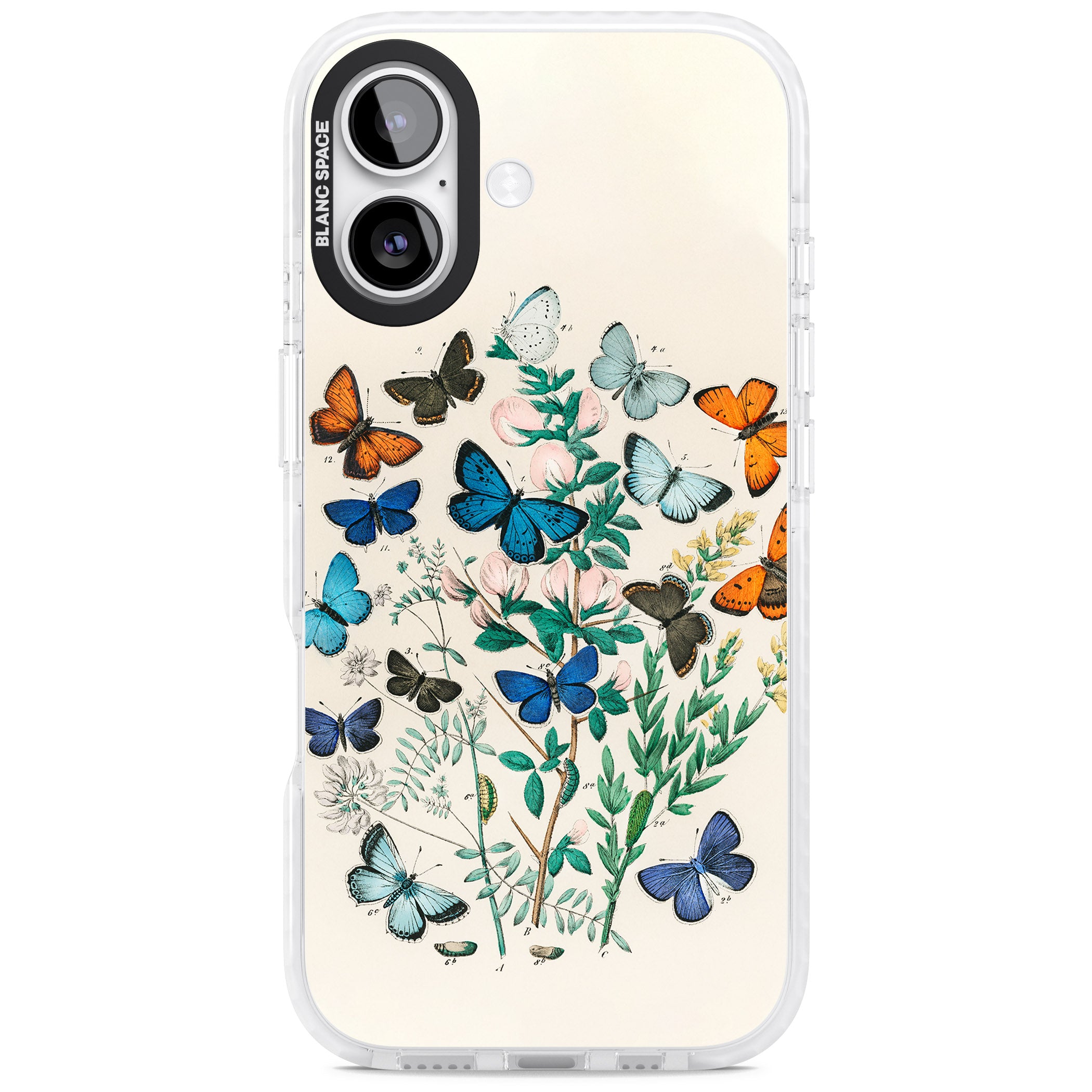European Butterflies iPhone 17 Impact Clear Phone Case