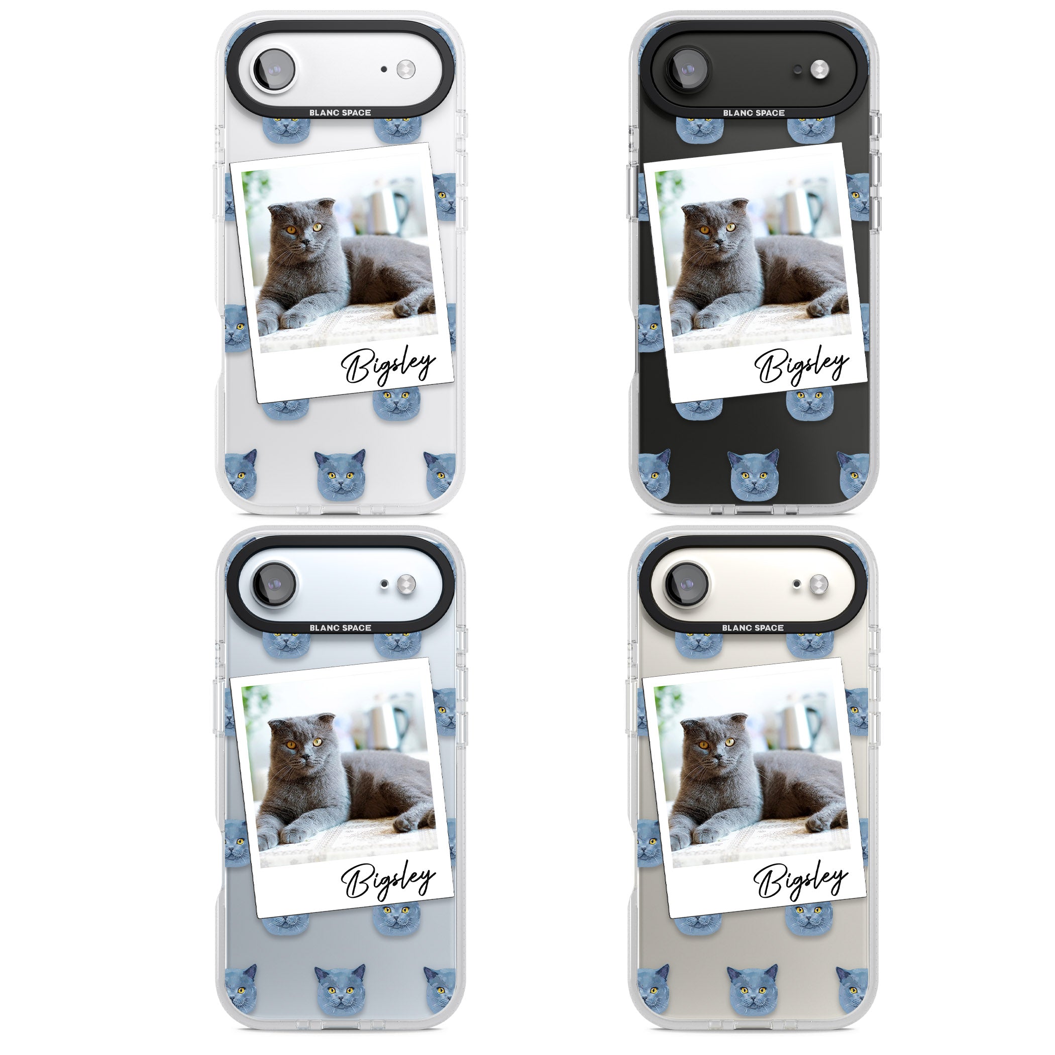 Personalised English Blue Cat Photo iPhone 17 Air Impact Air Clear Phone Case APT Impact Protection