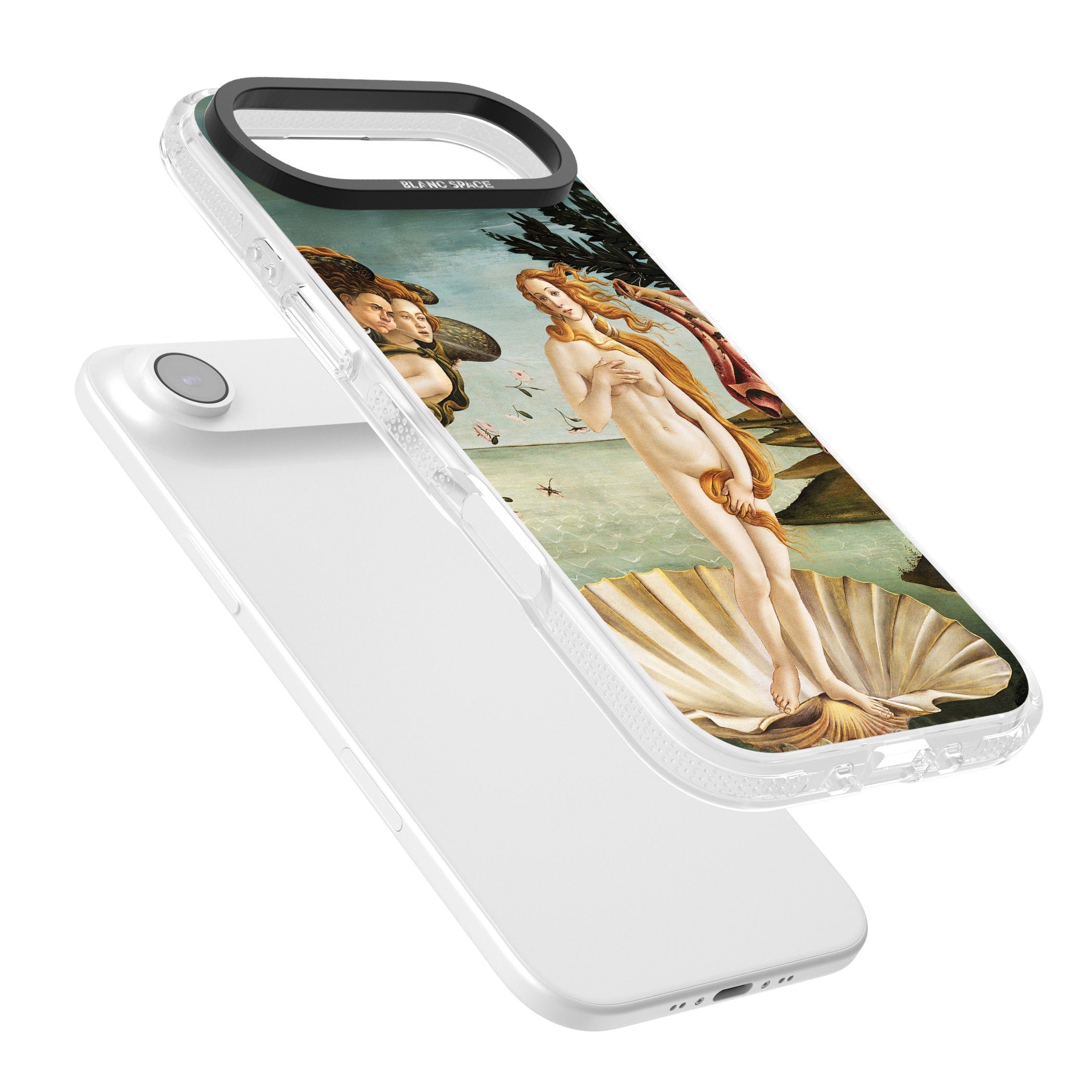 The Birth of Venus - Sandro Botticelli iPhone 17 Air Impact Air Clear Phone Case Colours