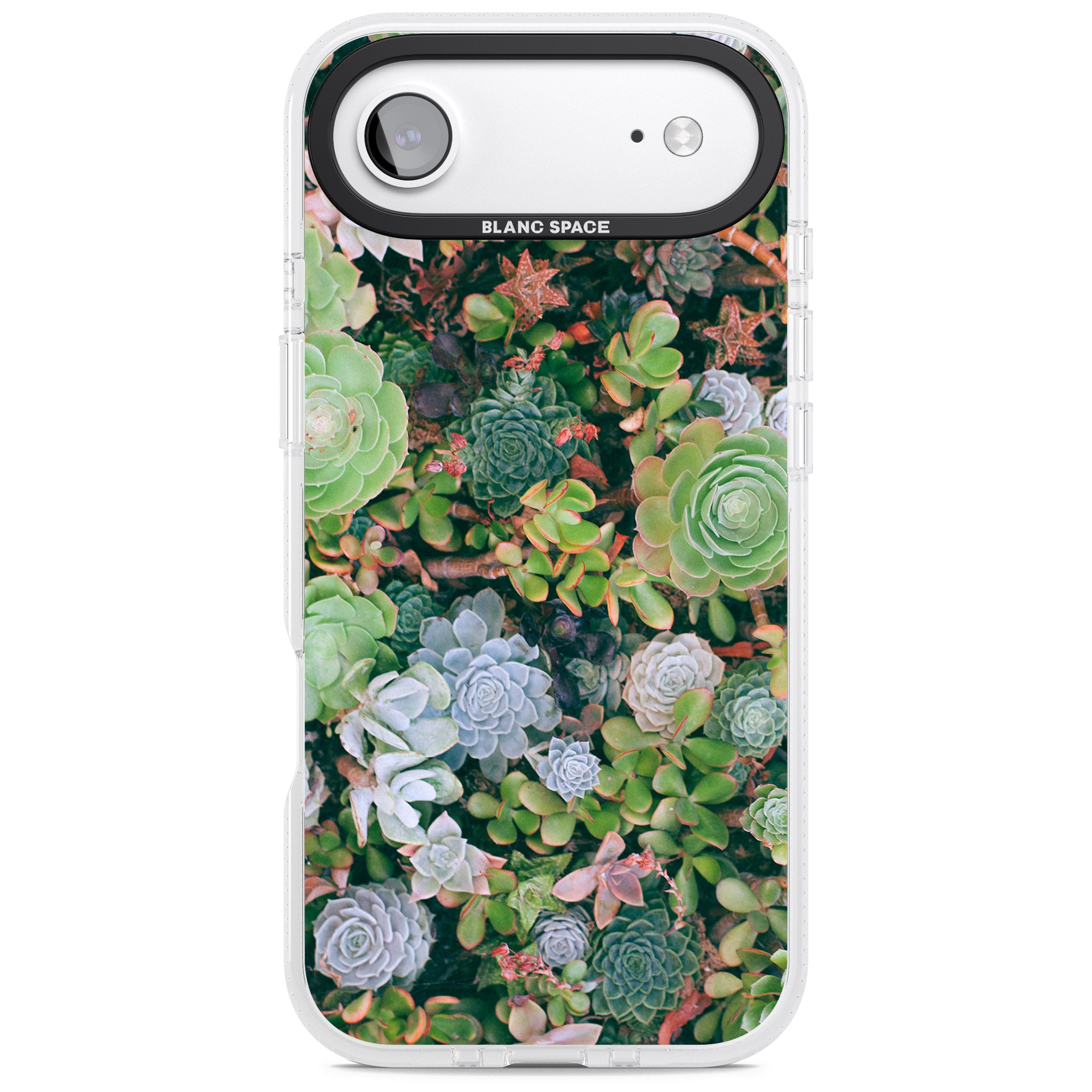 Succulent Garden iPhone 17 Air Impact Air Clear Phone Case