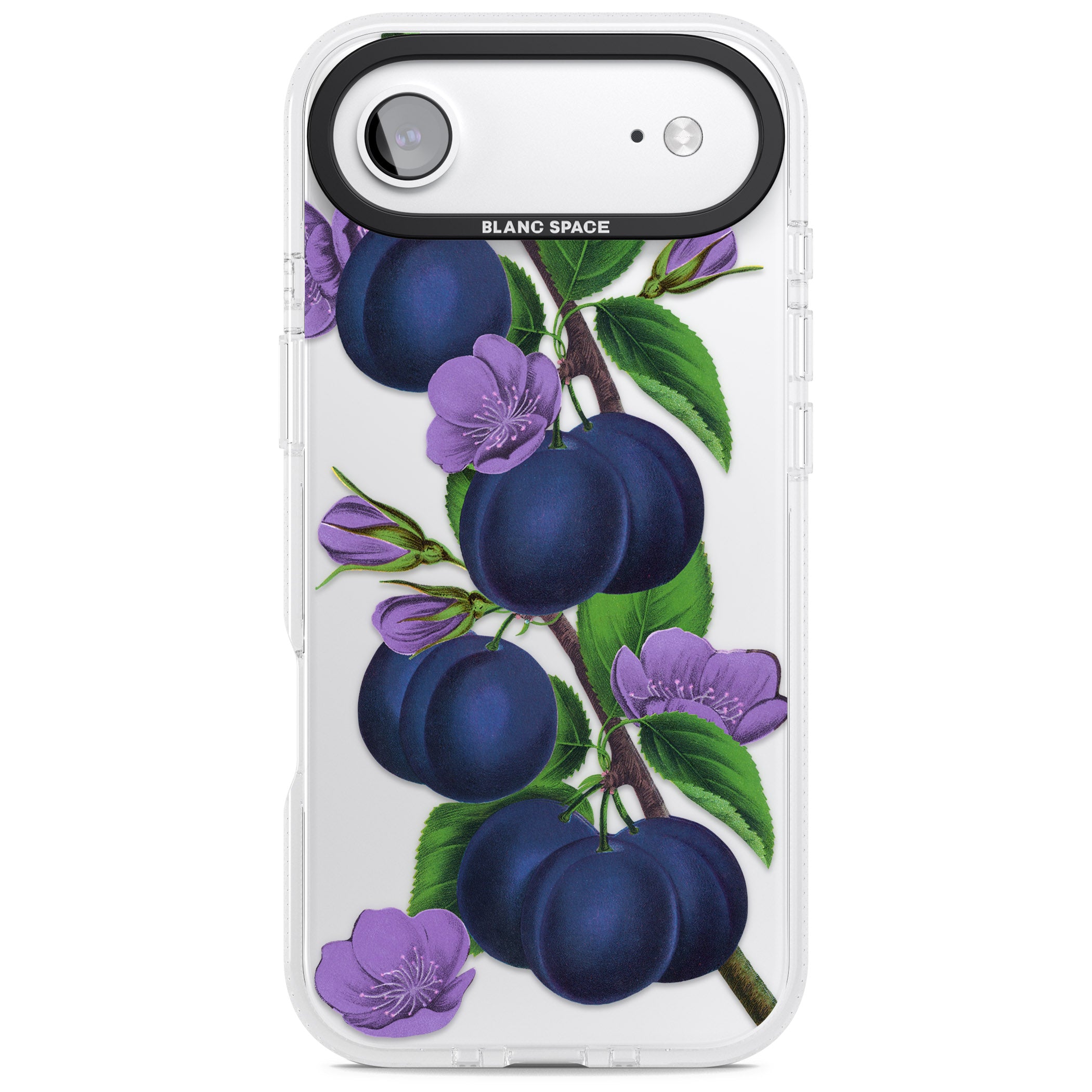 Vintage Painted Plums iPhone 17 Air Impact Air Clear Phone Case