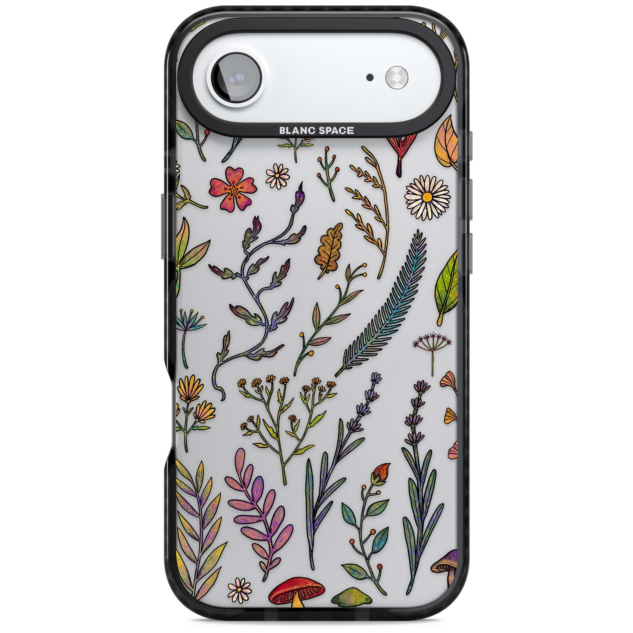 Autumn Wildflowers