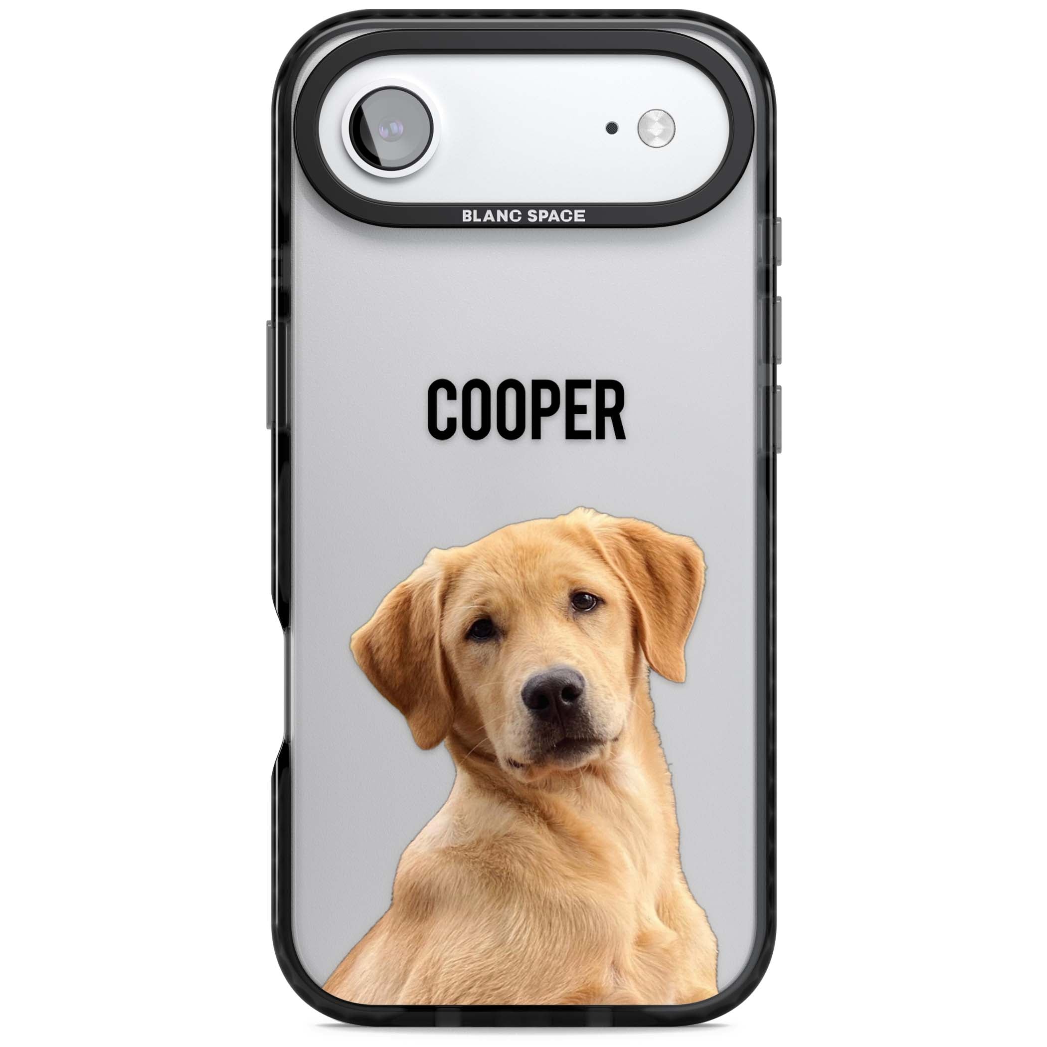 Personalised Pet Cutout & Name