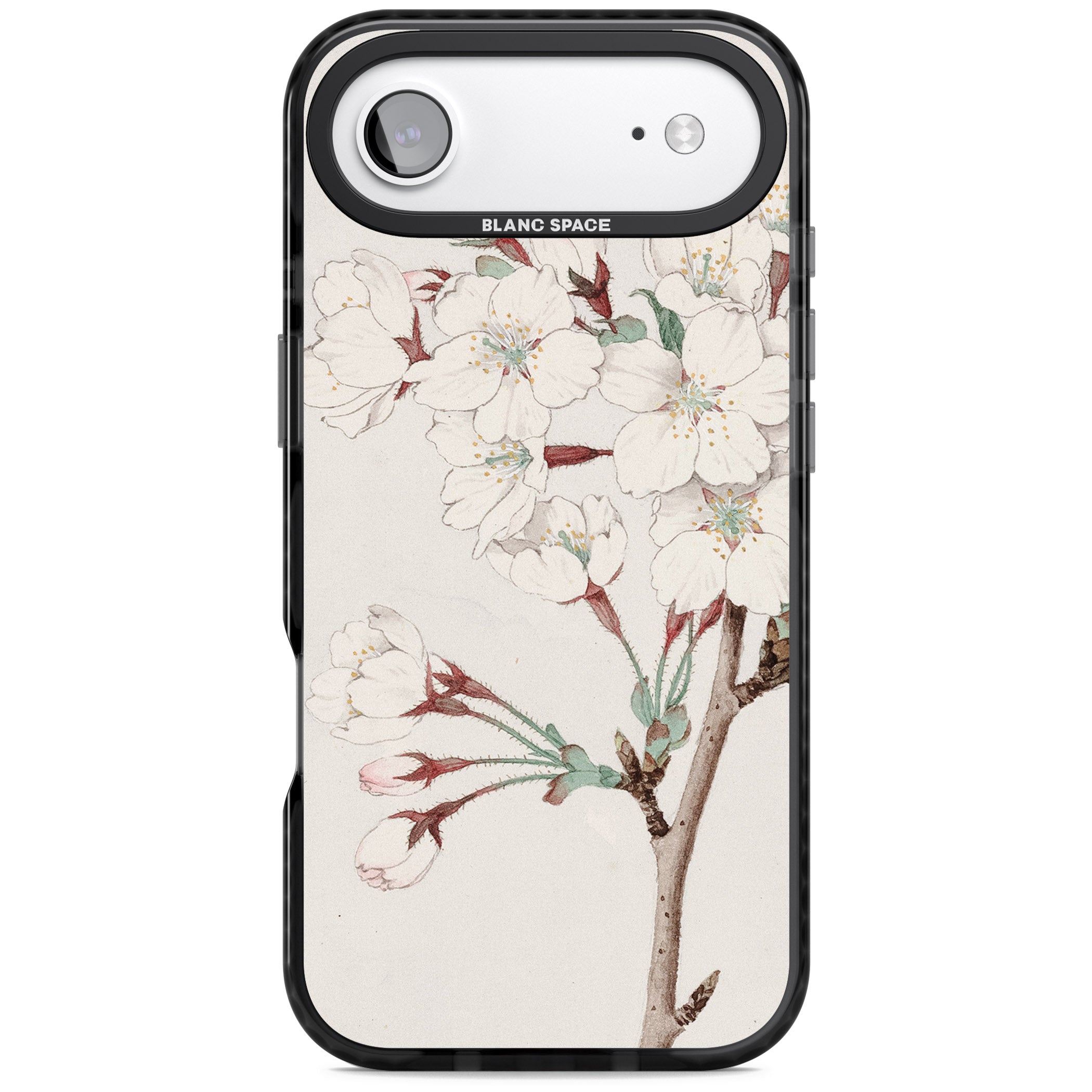 Vintage Japanese Illustrations Cherry Blossoms iPhone 17 Air Impact Black Phone Case