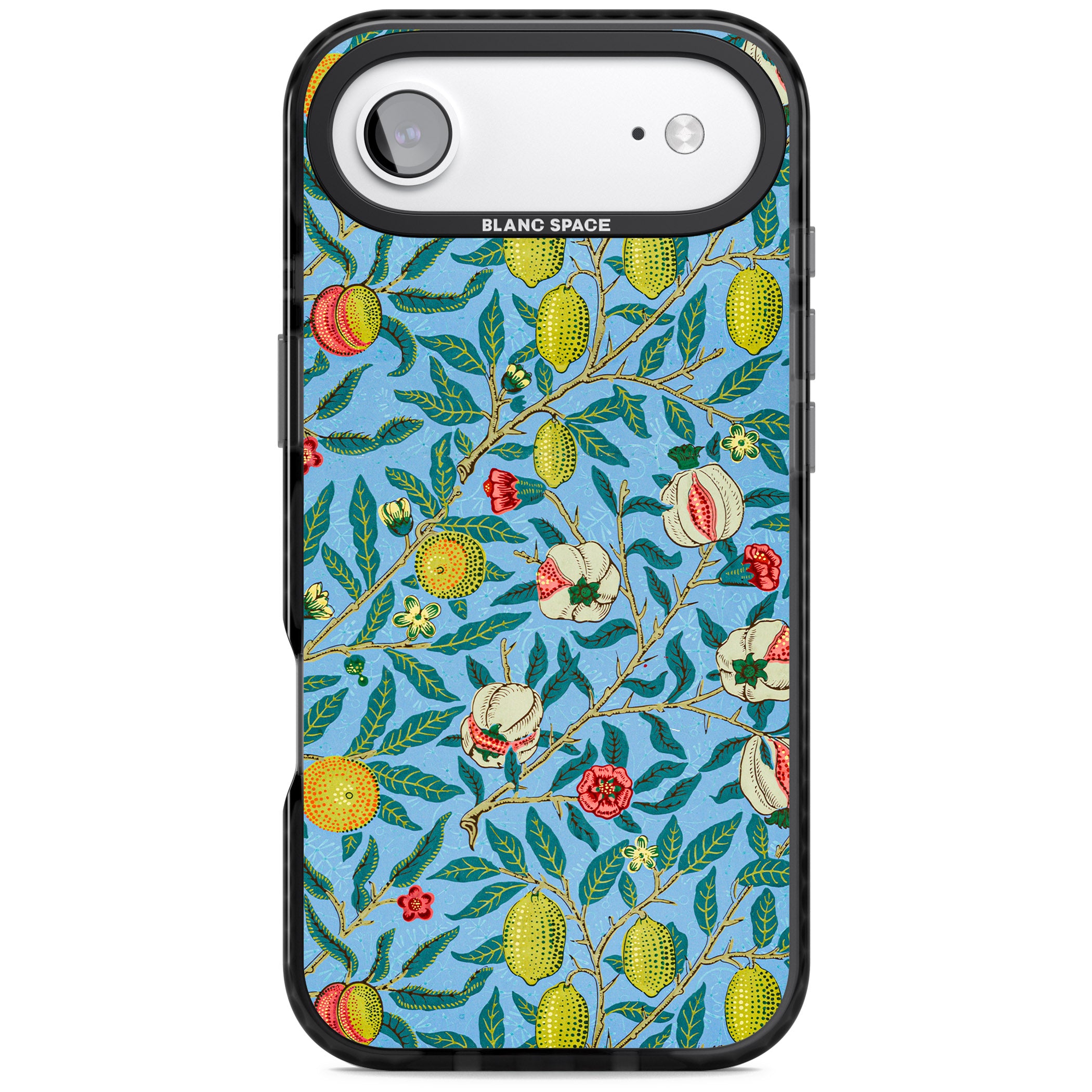 Vintage Fruits iPhone 17 Air Impact Pro Black Phone Case