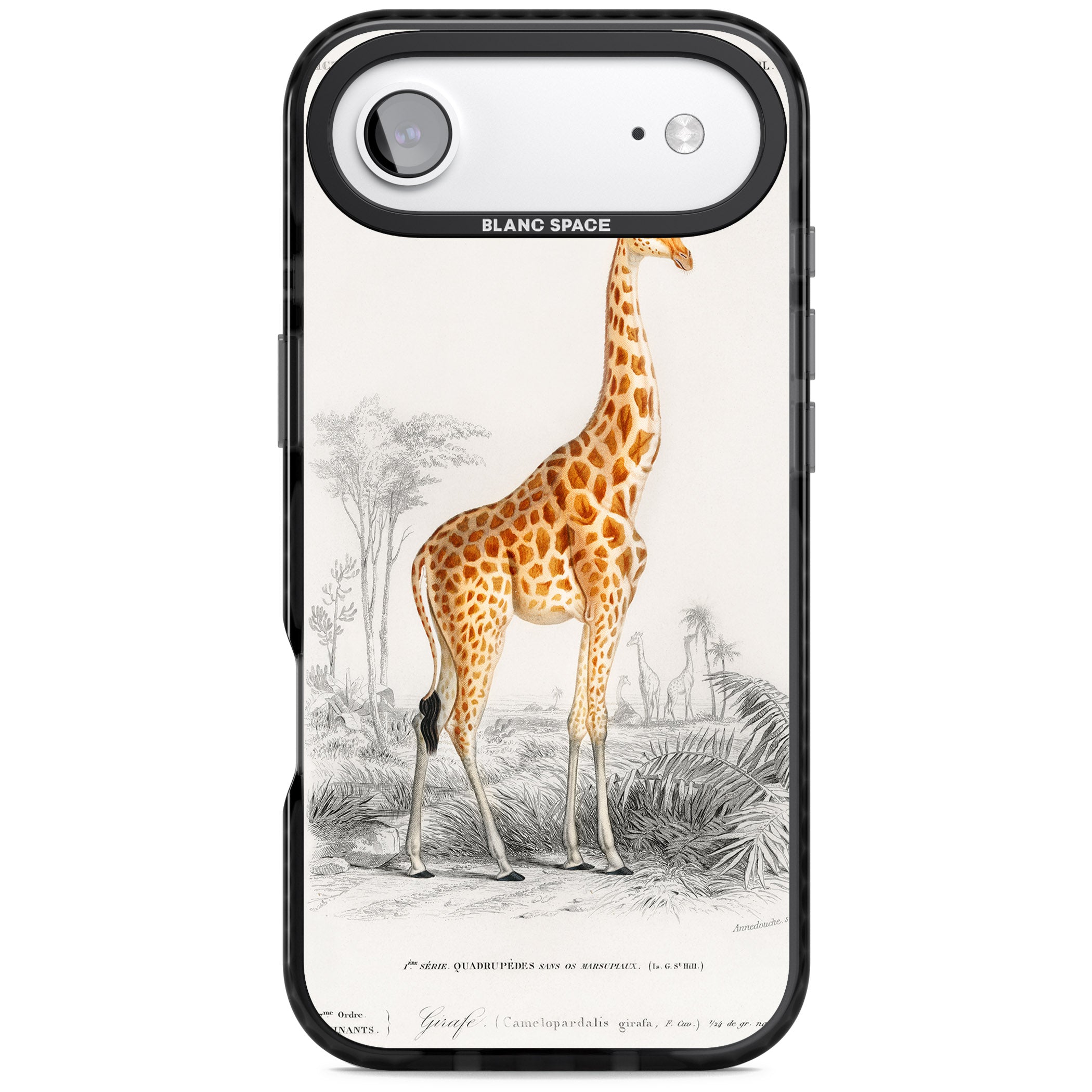 Vintage Giraffe Art iPhone 17 Air Impact Pro Black Phone Case