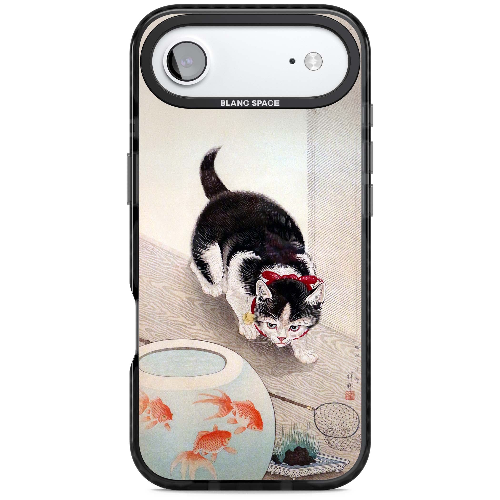 Cat & Goldfish Bowl