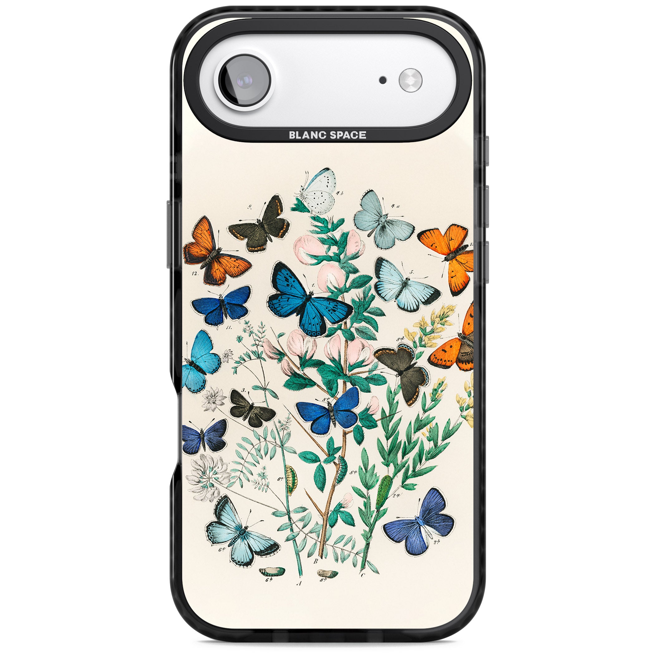 European Butterflies iPhone 17 Air Impact Black Phone Case