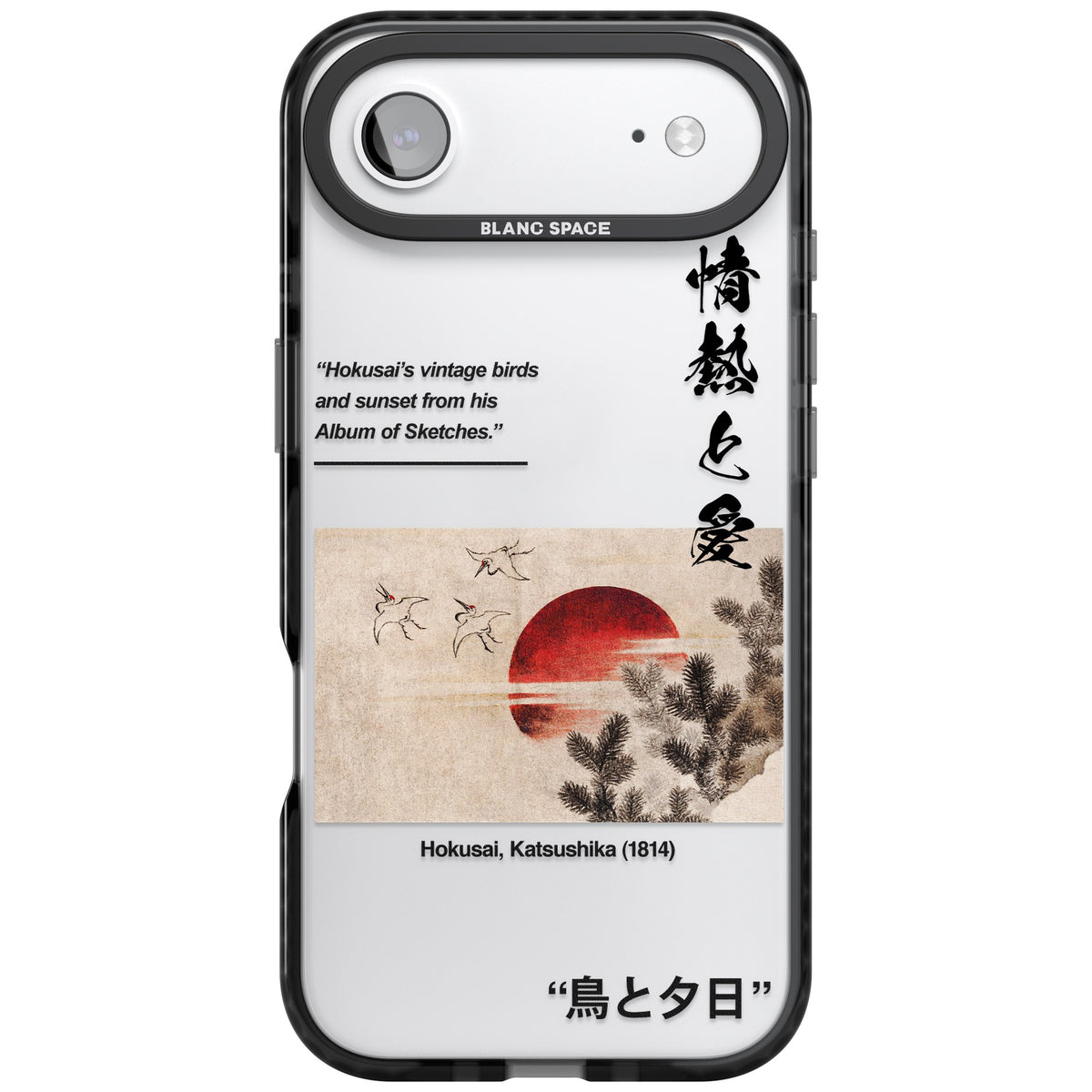 Birds And Sunset iPhone Air Impact Black Phone Case front