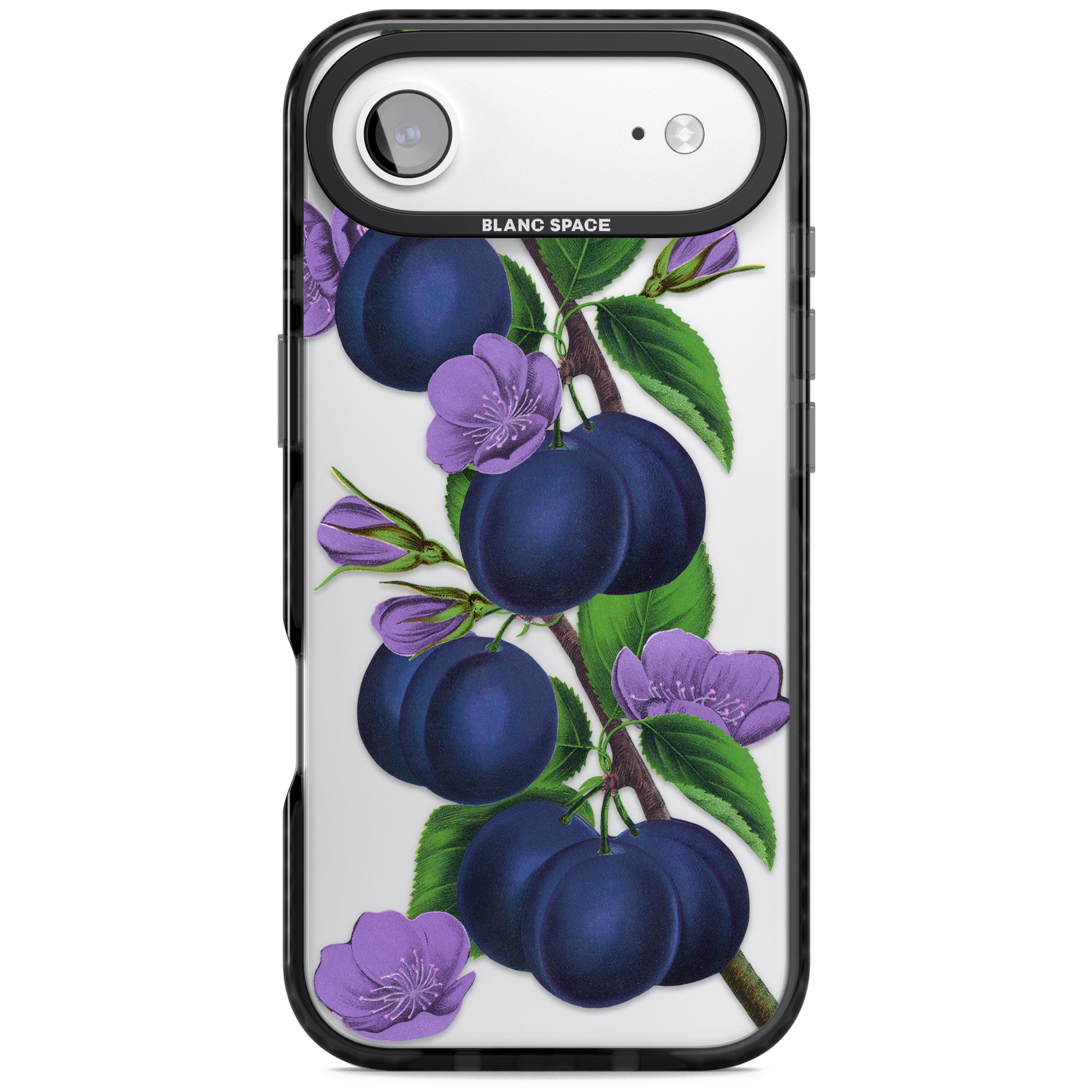 Vintage Painted Plums iPhone 17 Air Impact Black Phone Case