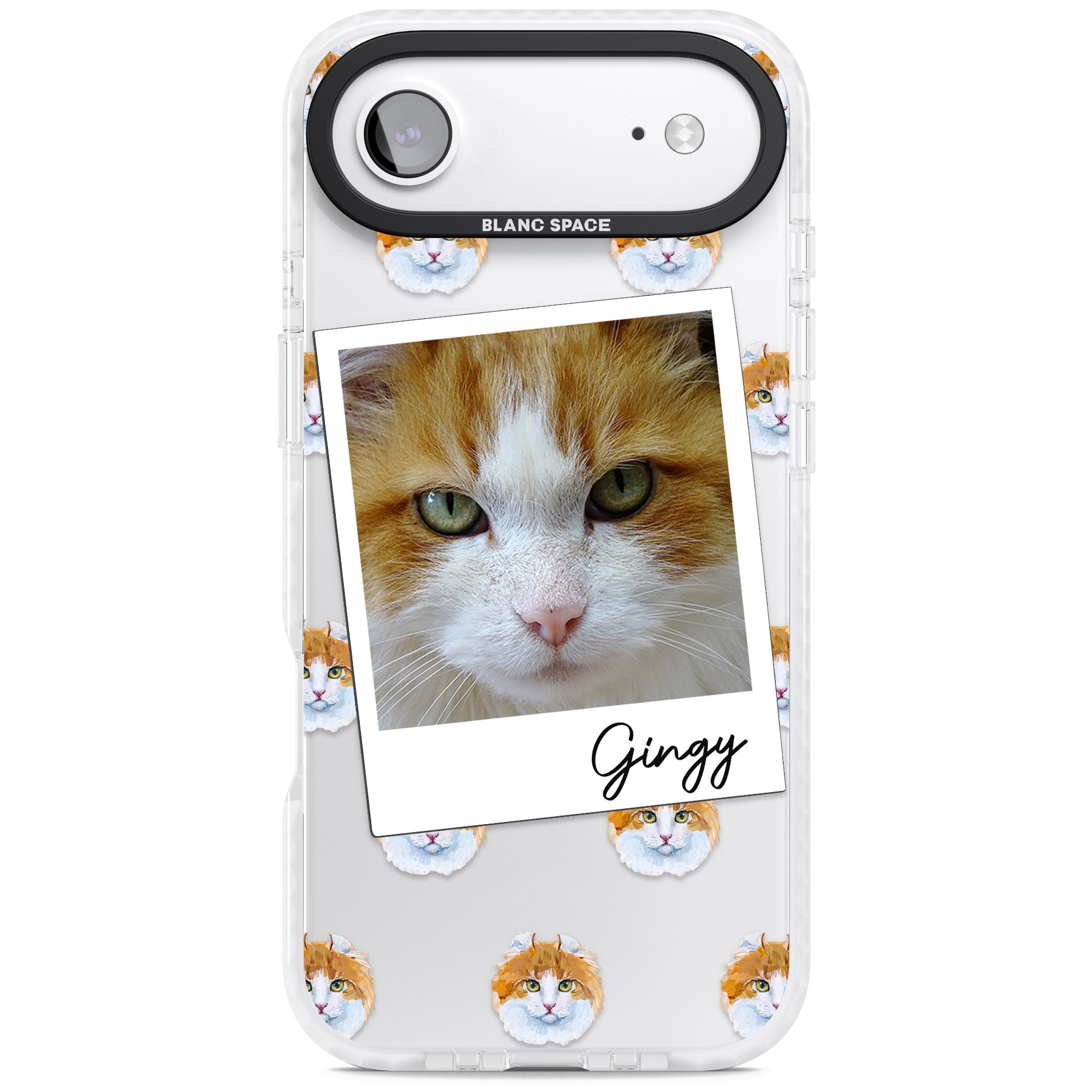 Personalised American Curl Photo iPhone 17 Air Impact Clear Phone Case