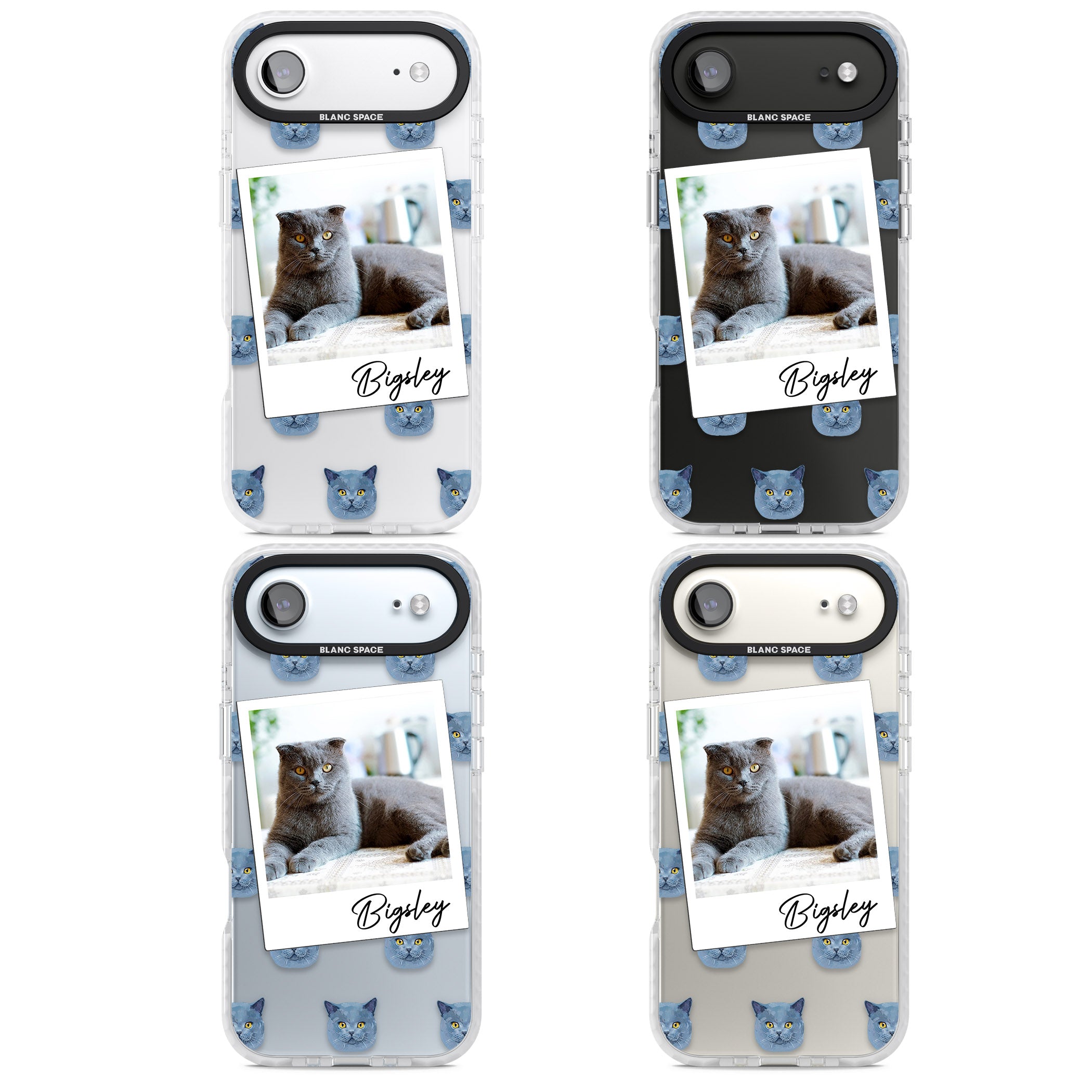Personalised English Blue Cat Photo iPhone 17 Air Impact Clear Phone Case APT Impact Protection