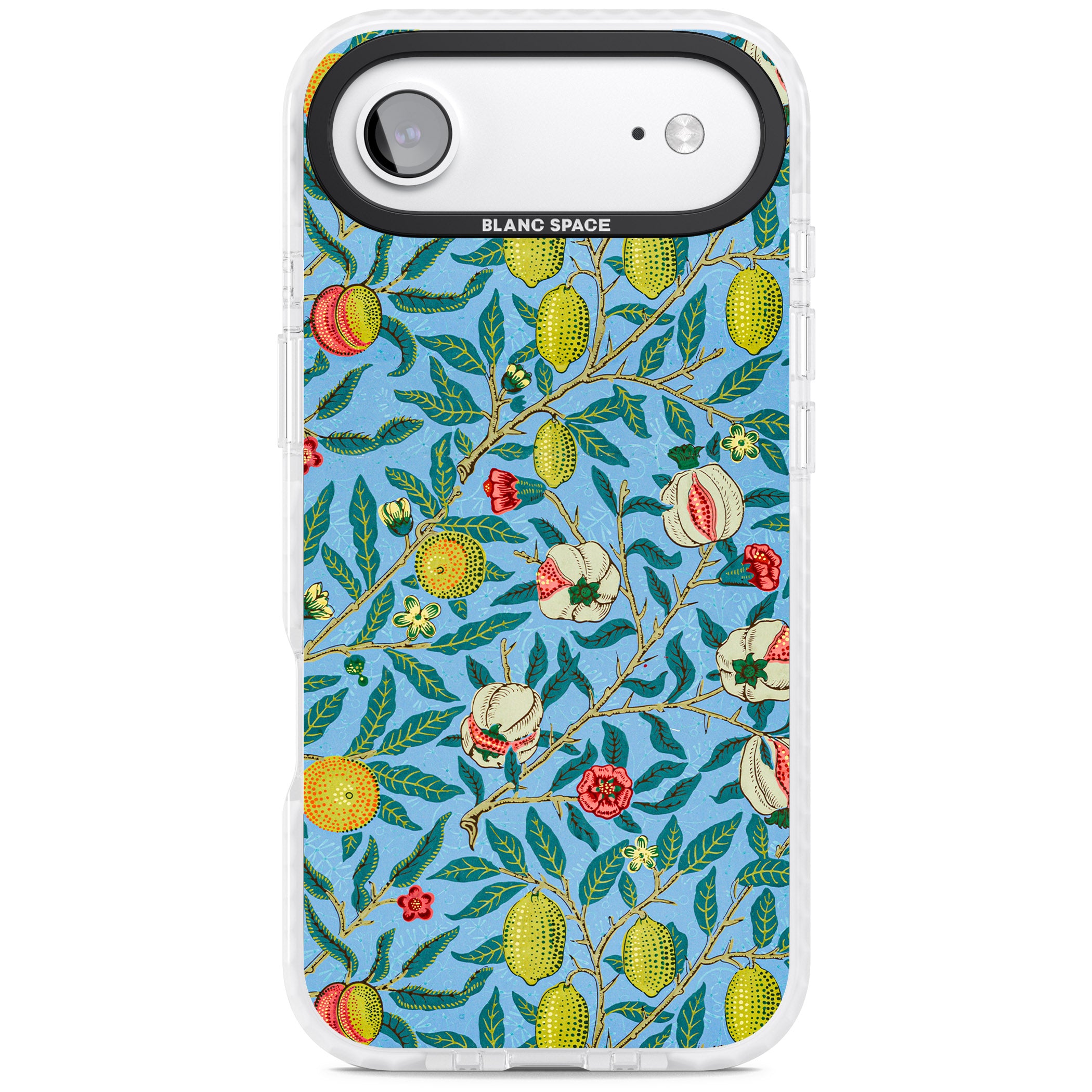 Vintage Fruits iPhone 17 Air Impact Clear Phone Case