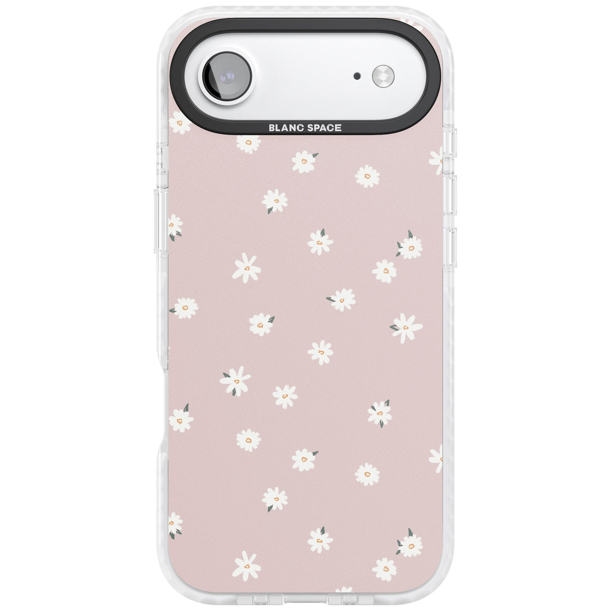 Rosewater Fields iPhone Air Impact Clear Phone Case front
