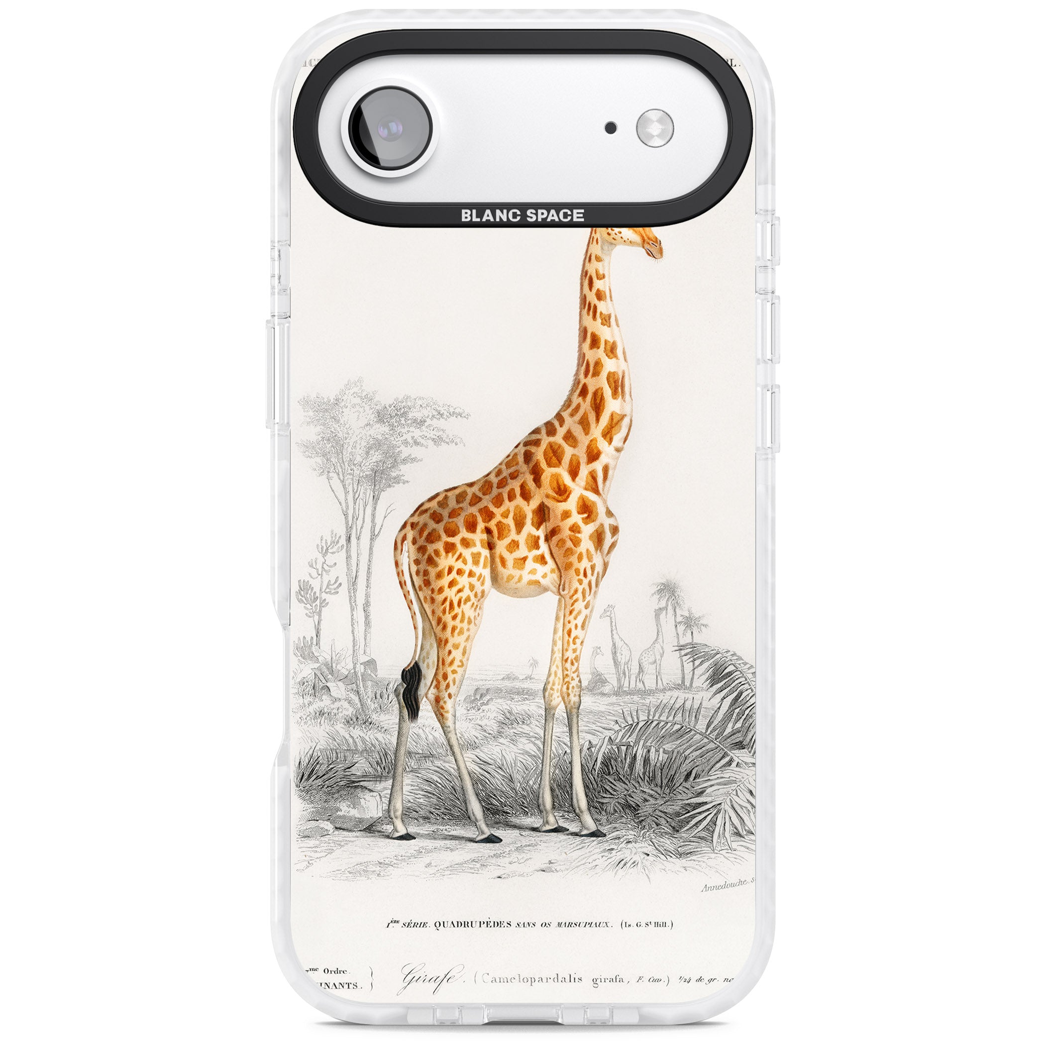 Vintage Giraffe Art iPhone 17 Air Impact Clear Phone Case