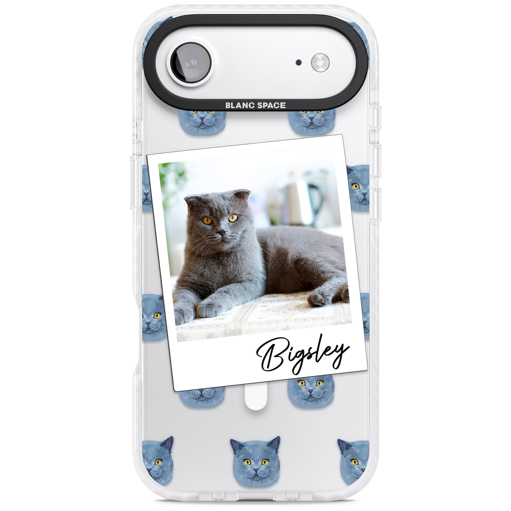 Personalised English Blue Cat Photo iPhone 17 Air Impact Pro Clear Phone Case