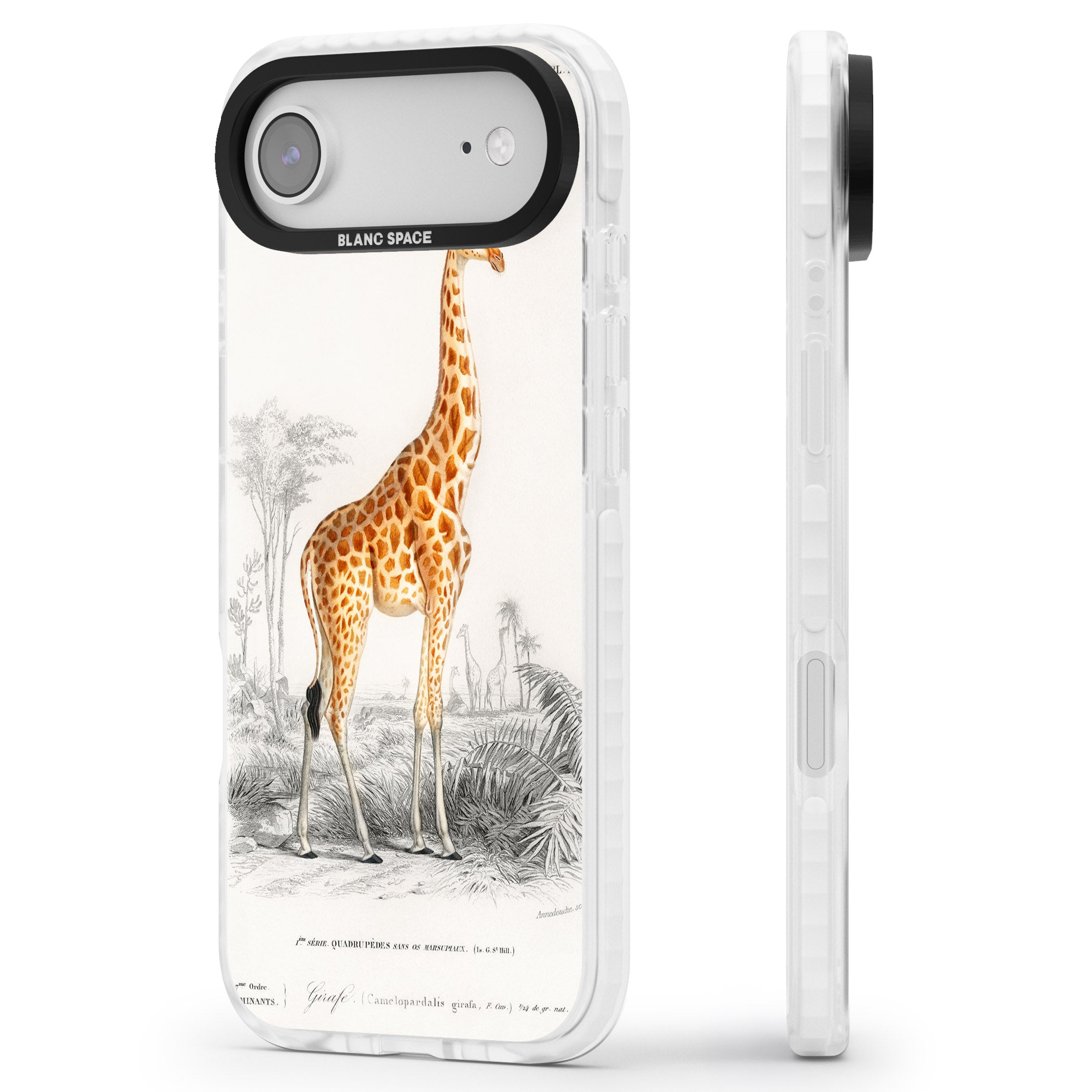 Vintage Giraffe Art iPhone 17 Air Impact Pro Clear Phone Case Side Profile