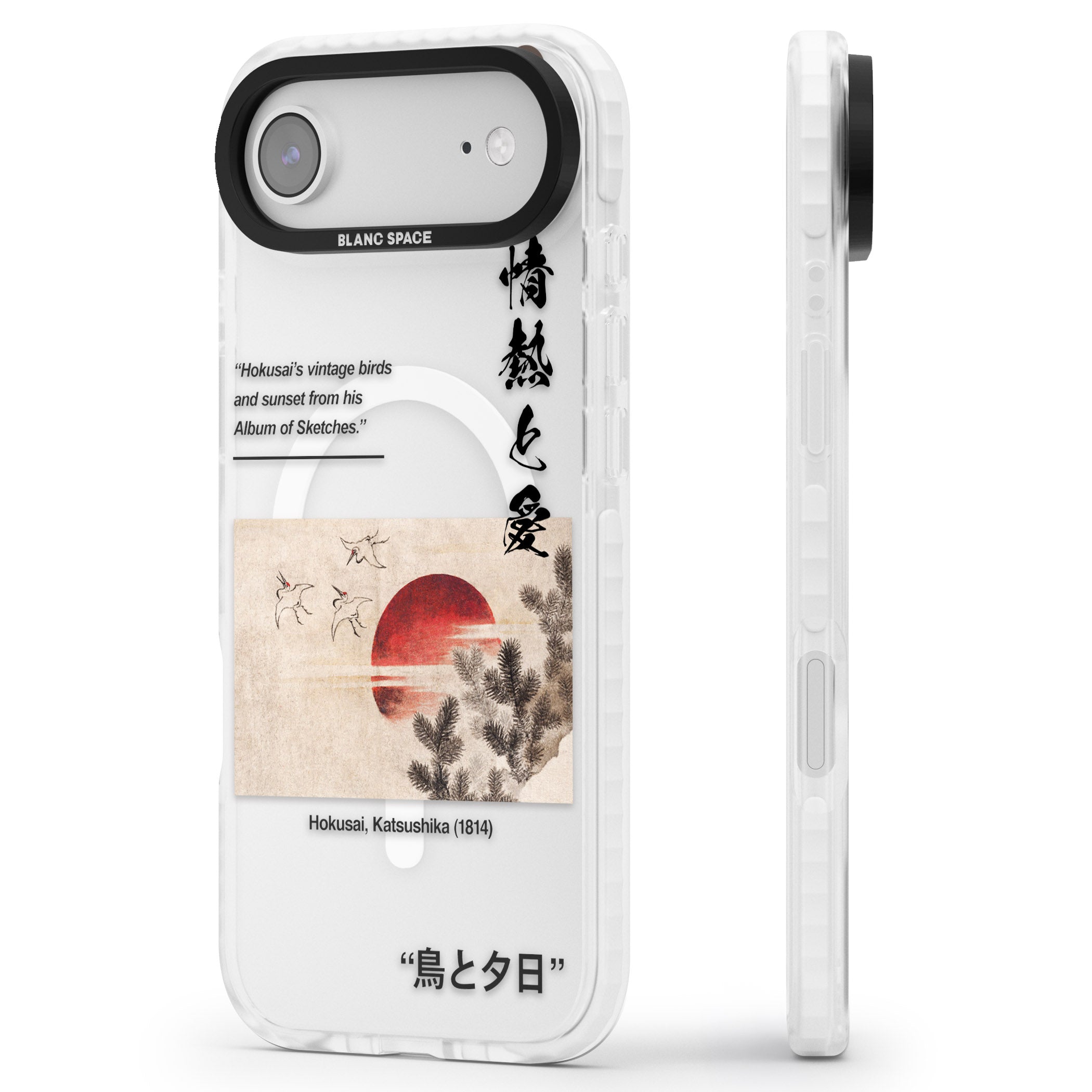 Birds And Sunset iPhone 17 Air Impact Pro Clear Phone Case Side Profile