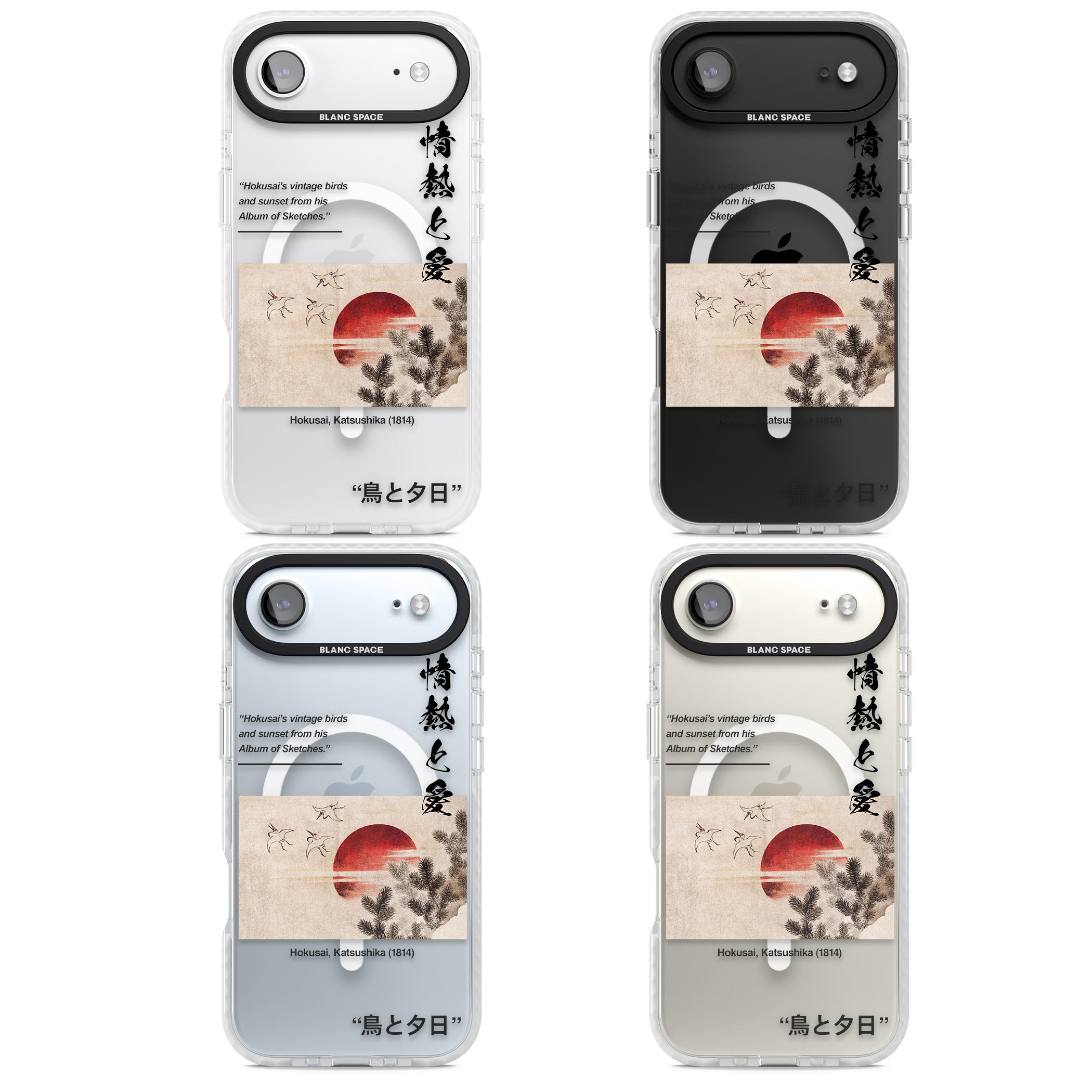Birds And Sunset iPhone 17 Air Impact Pro Clear Phone Case APT Impact Protection