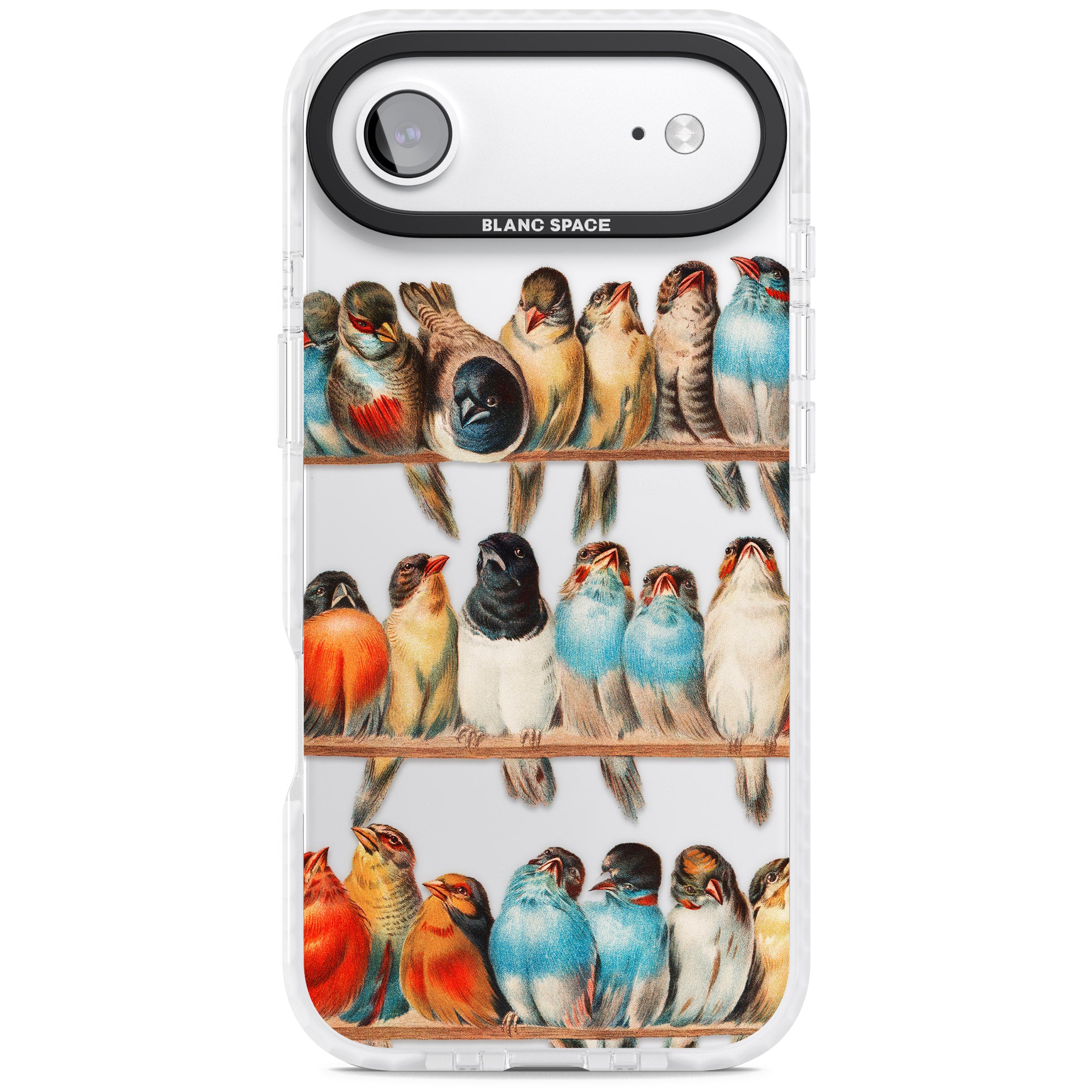 A Perch Of Birds iPhone 17 Air Impact Clear Phone Case