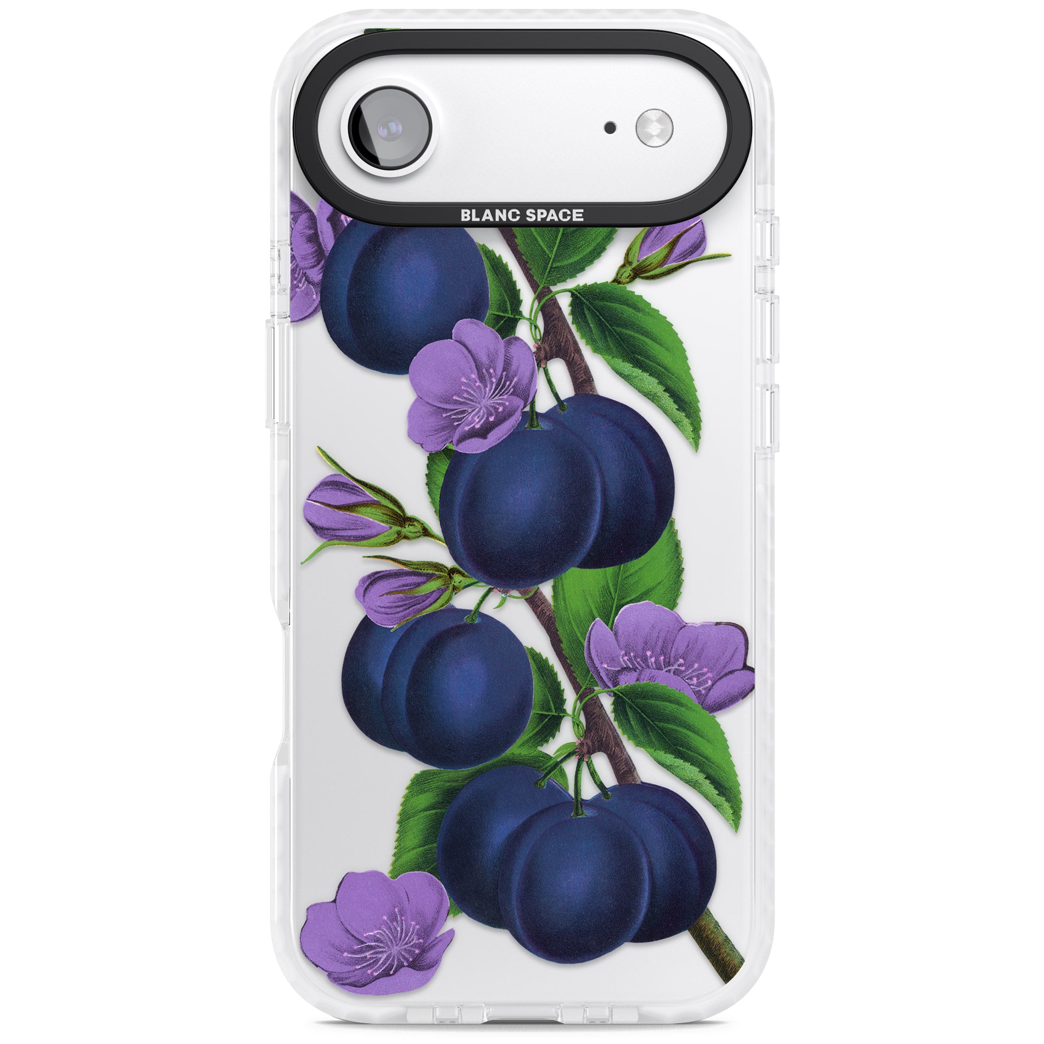 Vintage Painted Plums iPhone 17 Air Impact Clear Phone Case