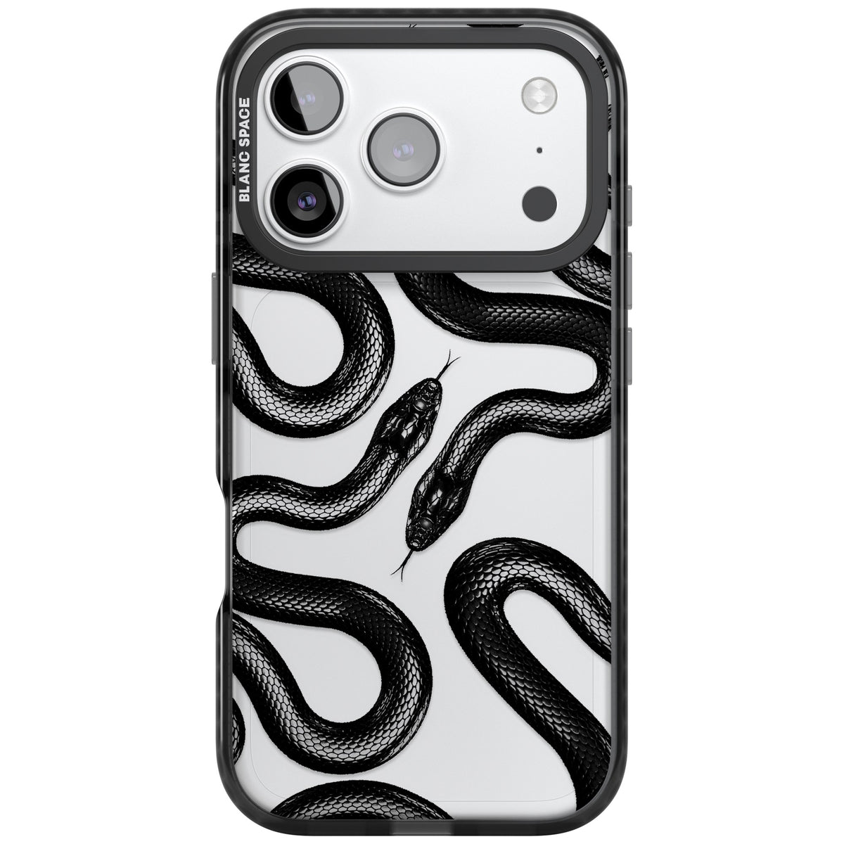 Black Kingsnake iPhone 17 Pro Impact Black Phone Case front