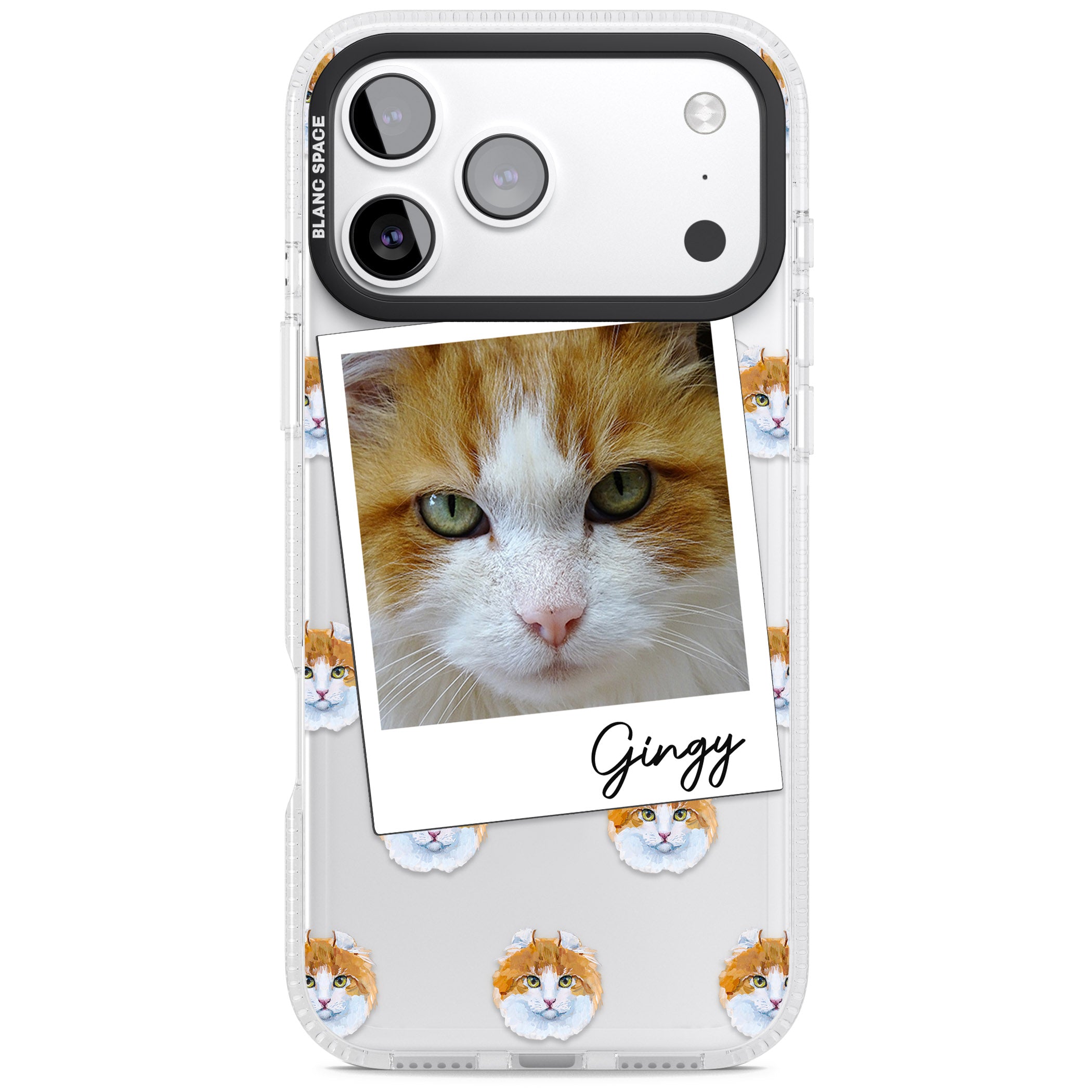 Personalised American Curl Photo iPhone 17 Pro Impact Air Clear Phone Case