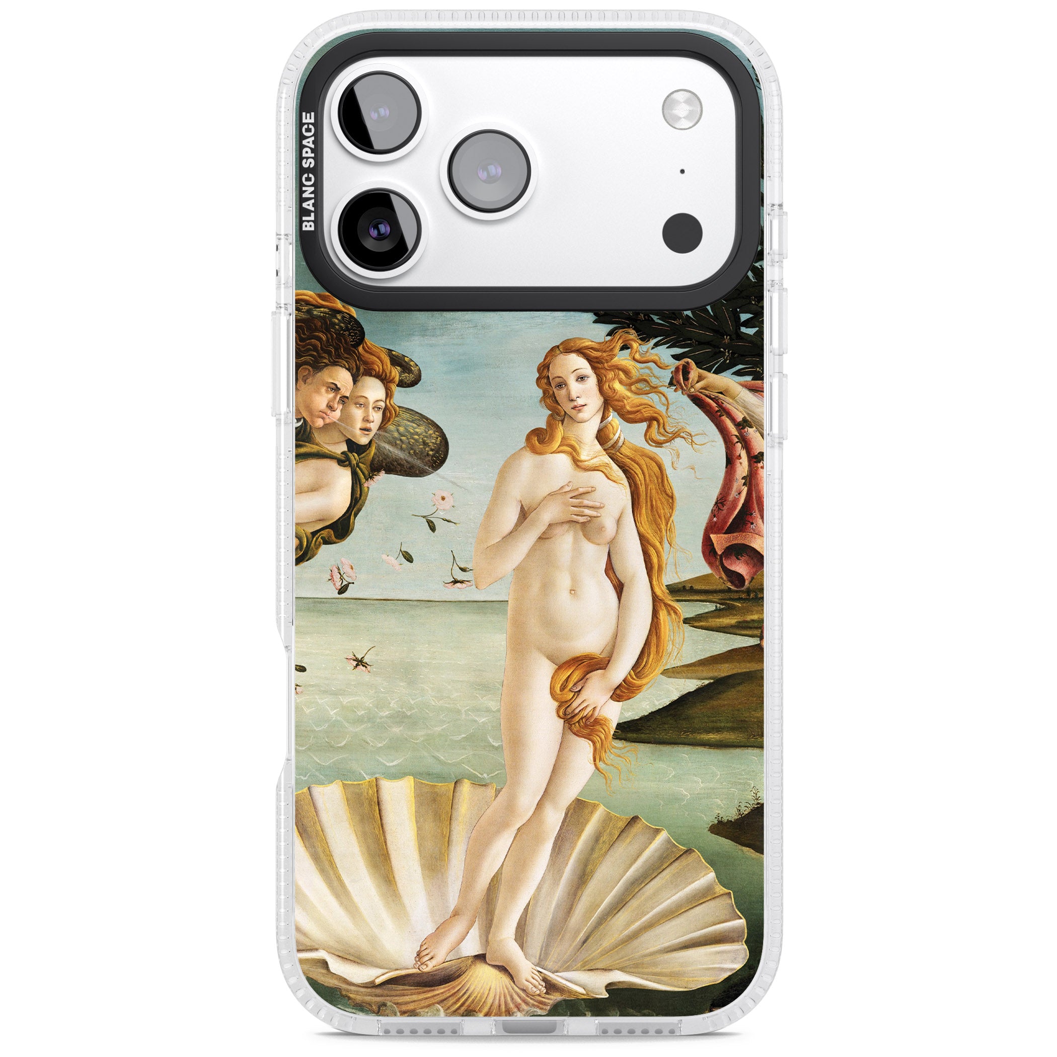 The Birth of Venus - Sandro Botticelli iPhone 17 Pro Impact Air Clear Phone Case