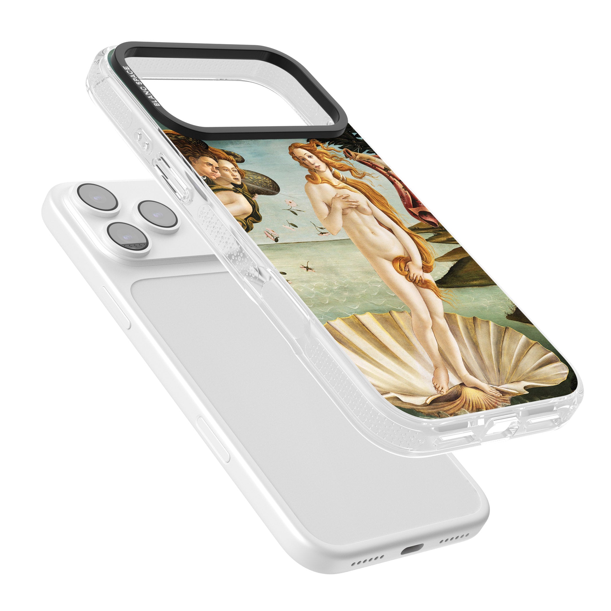 The Birth of Venus - Sandro Botticelli iPhone 17 Pro Impact Air Clear Phone Case Colours