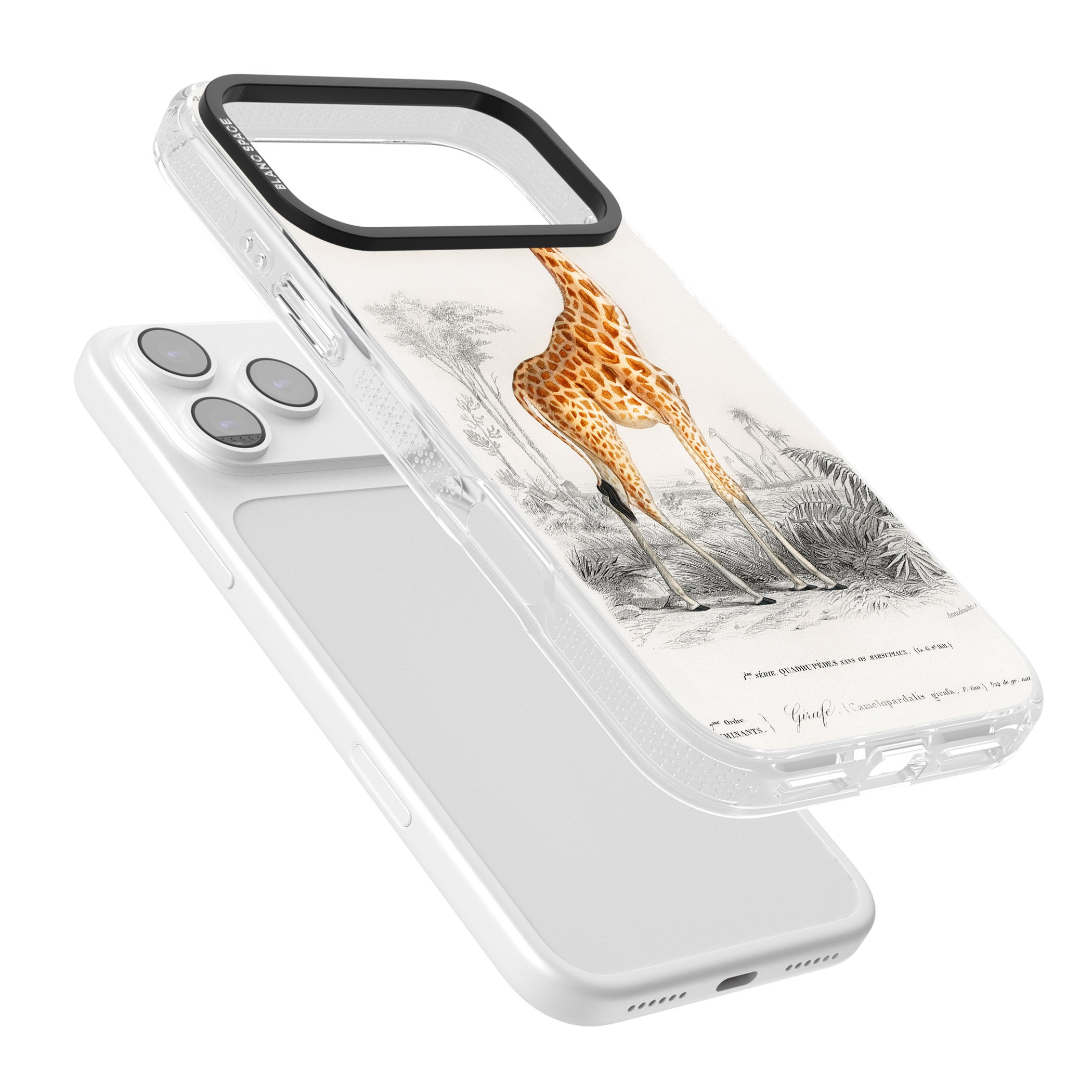 Vintage Giraffe Art iPhone 17 Pro Impact Air Clear Phone Case Colours