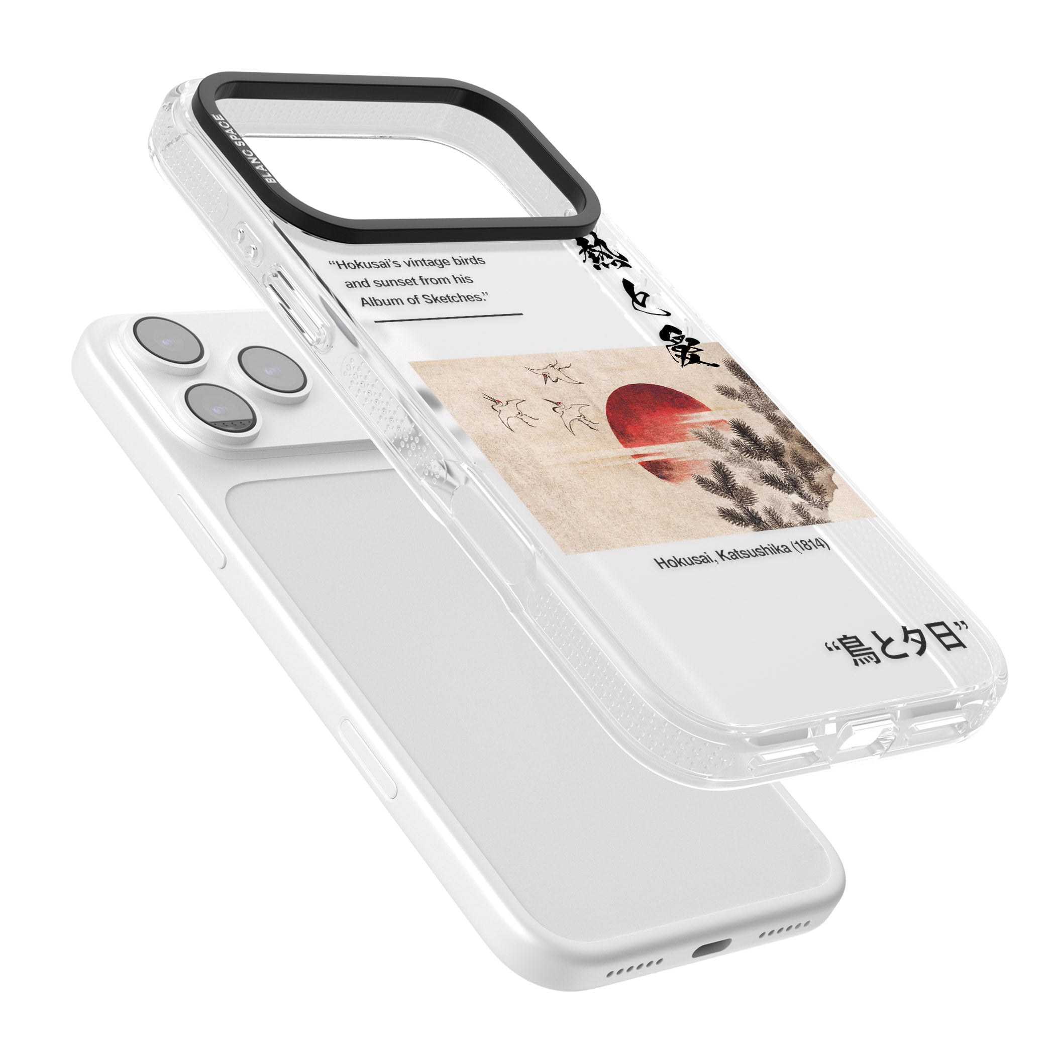 Birds And Sunset iPhone 17 Pro Impact Air Clear Phone Case Colours