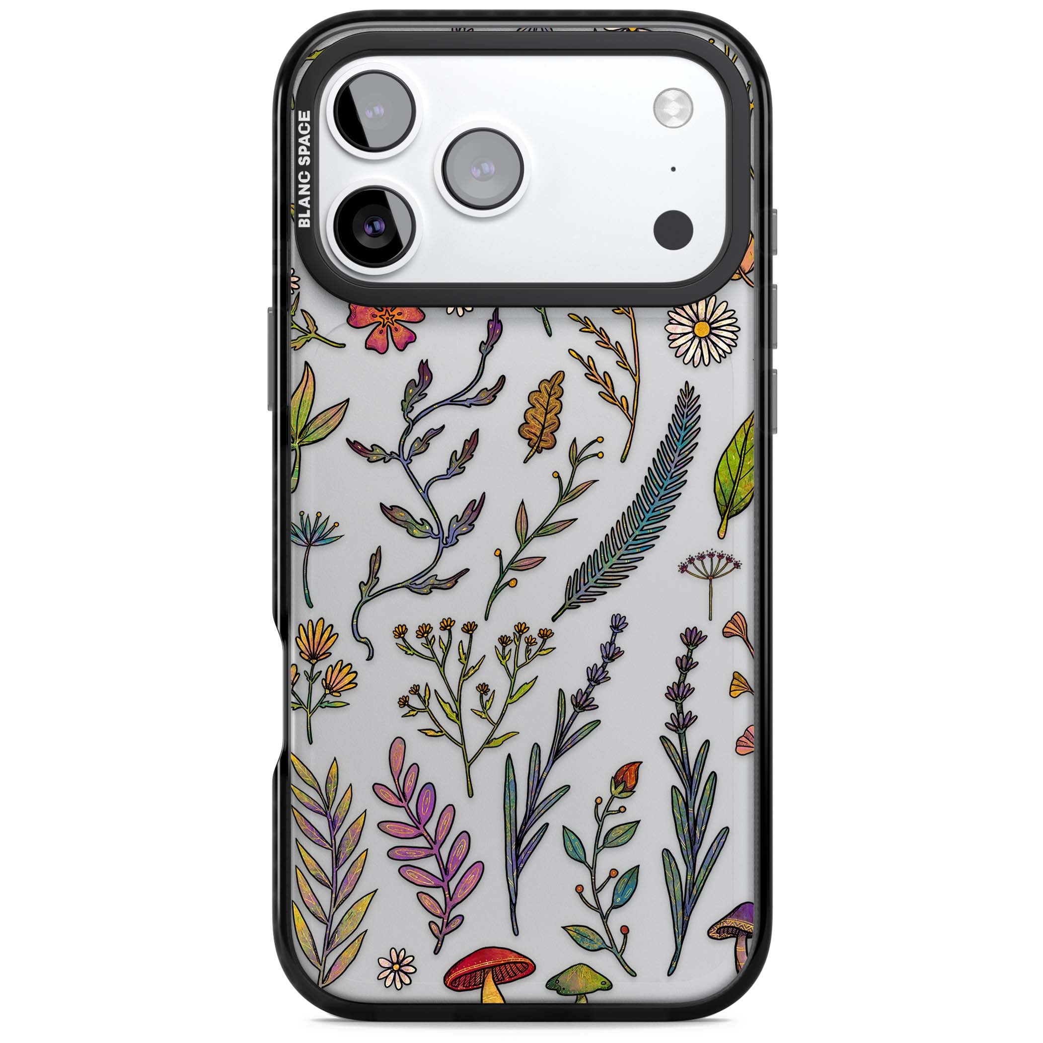 Autumn Wildflowers