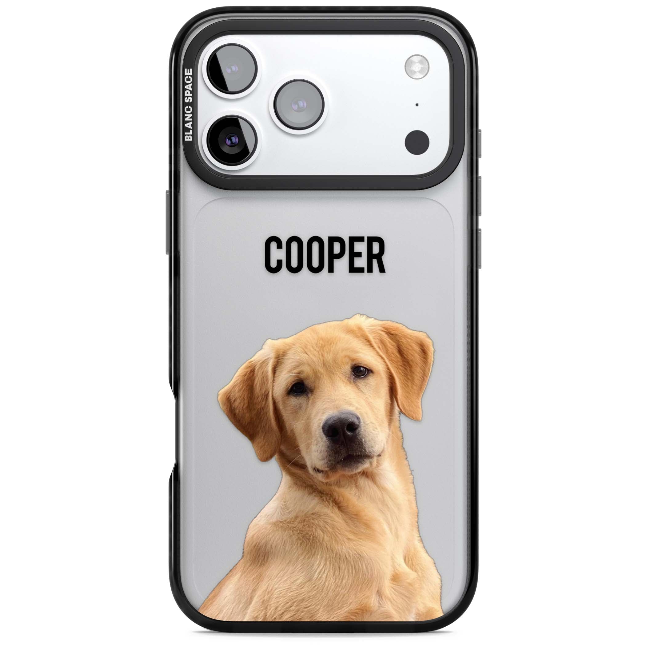 Personalised Pet Cutout & Name