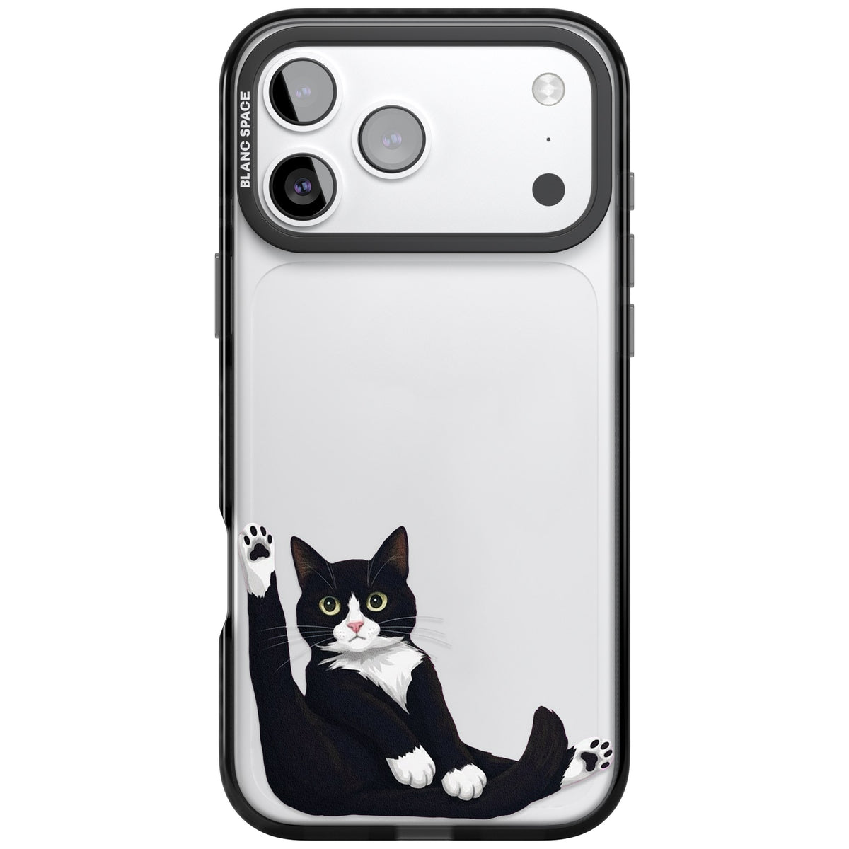 Mid-Groom Cat iPhone 17 Pro Max Impact Black Phone Case front