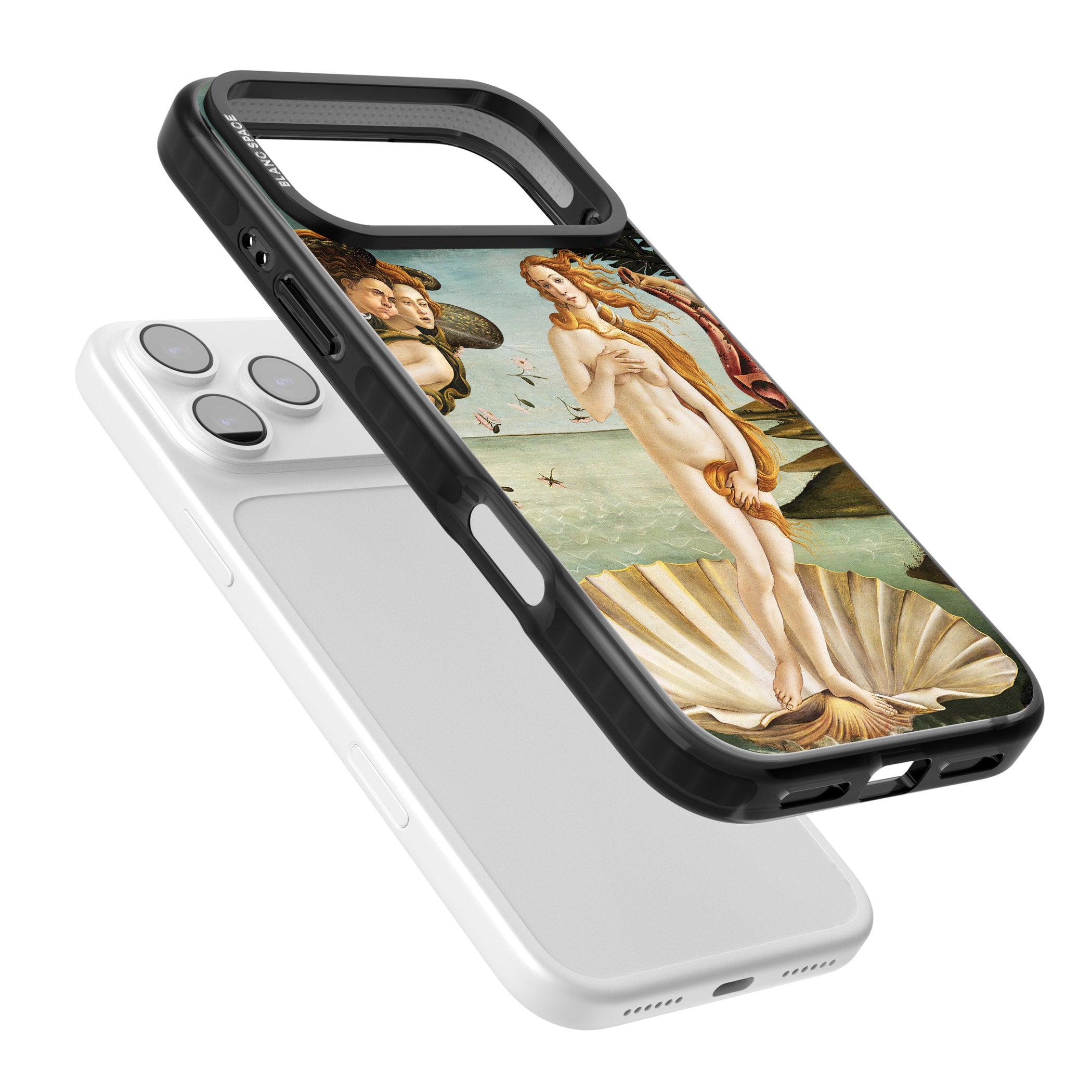 The Birth of Venus - Sandro Botticelli iPhone 17 Pro Impact Pro Black Phone Case Colours