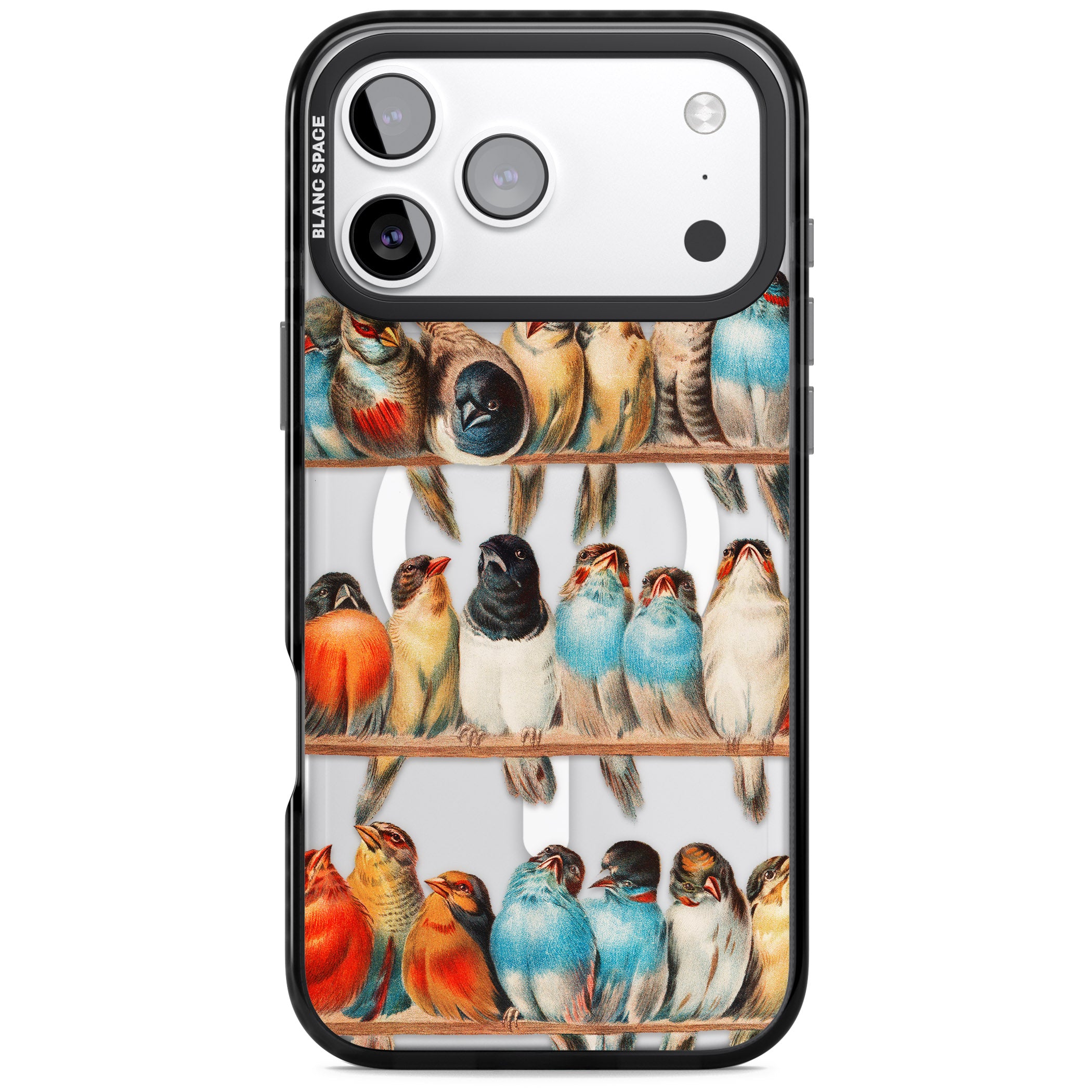 A Perch Of Birds iPhone 17 Pro Impact Pro Black Phone Case