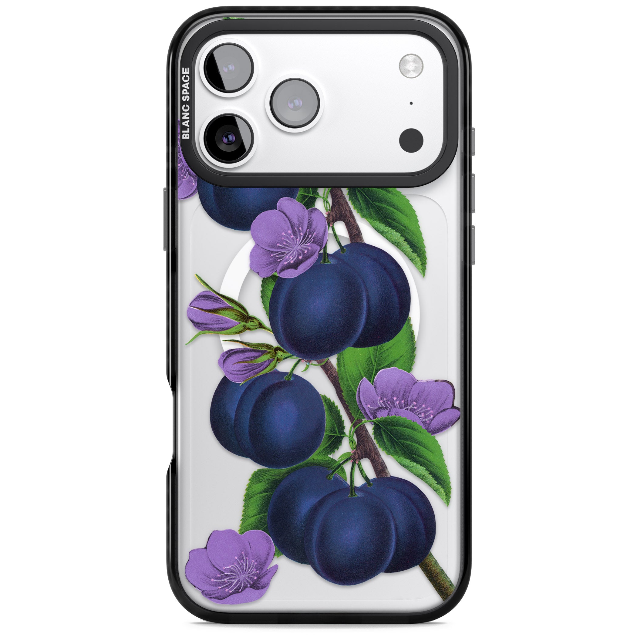 Vintage Painted Plums iPhone 17 Pro Impact Pro Black Phone Case